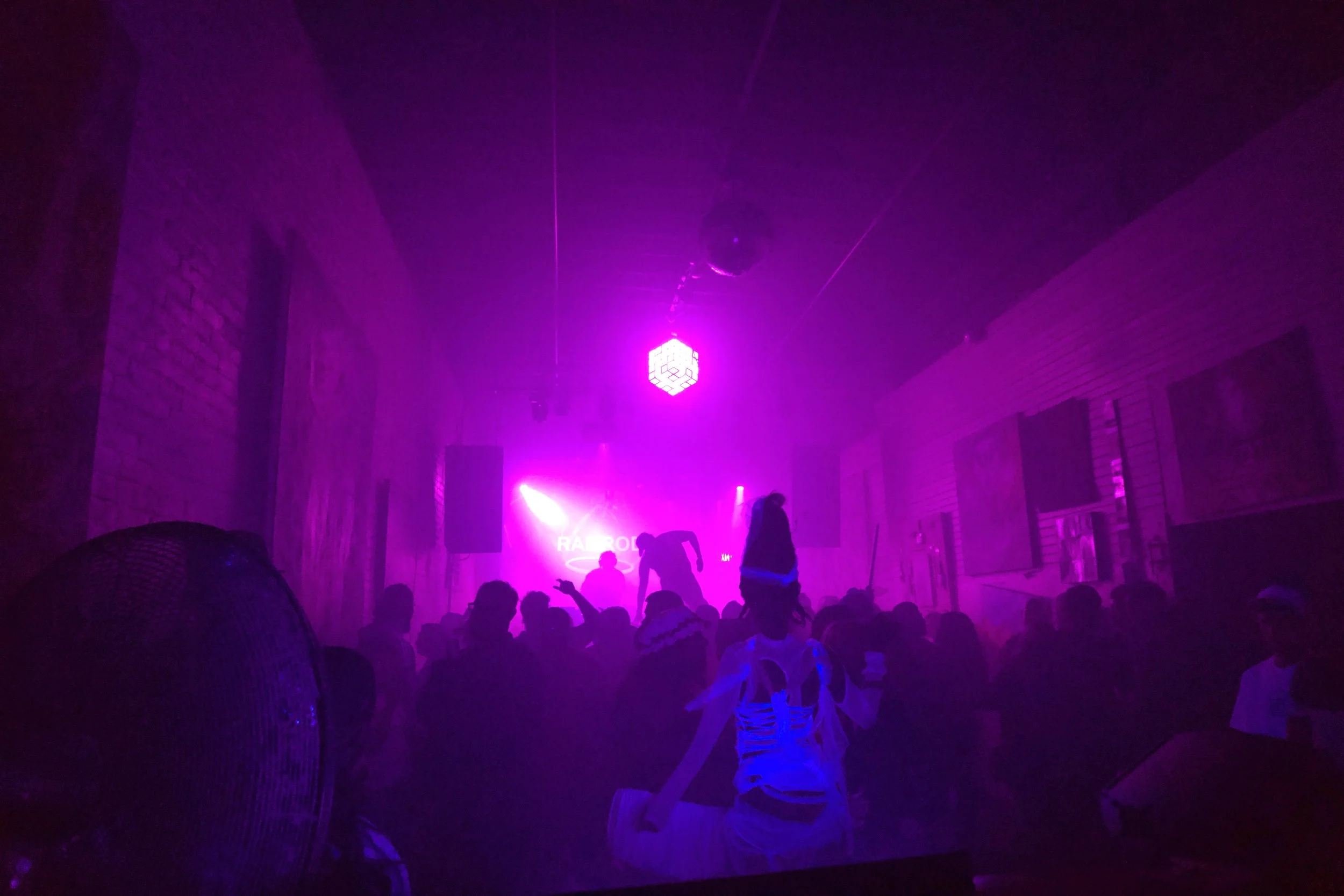 DSC01397.jpeg