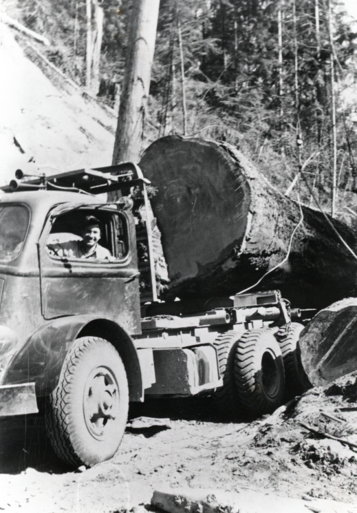 Logging on Vashon