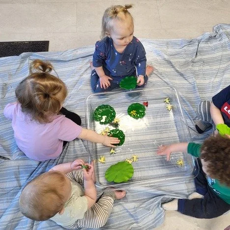 Spring has sprung (or will, we hope) and our classrooms have been hard at work 🐸 DIVING into pond life, frogs and insects, turtles and MORE! 🐢