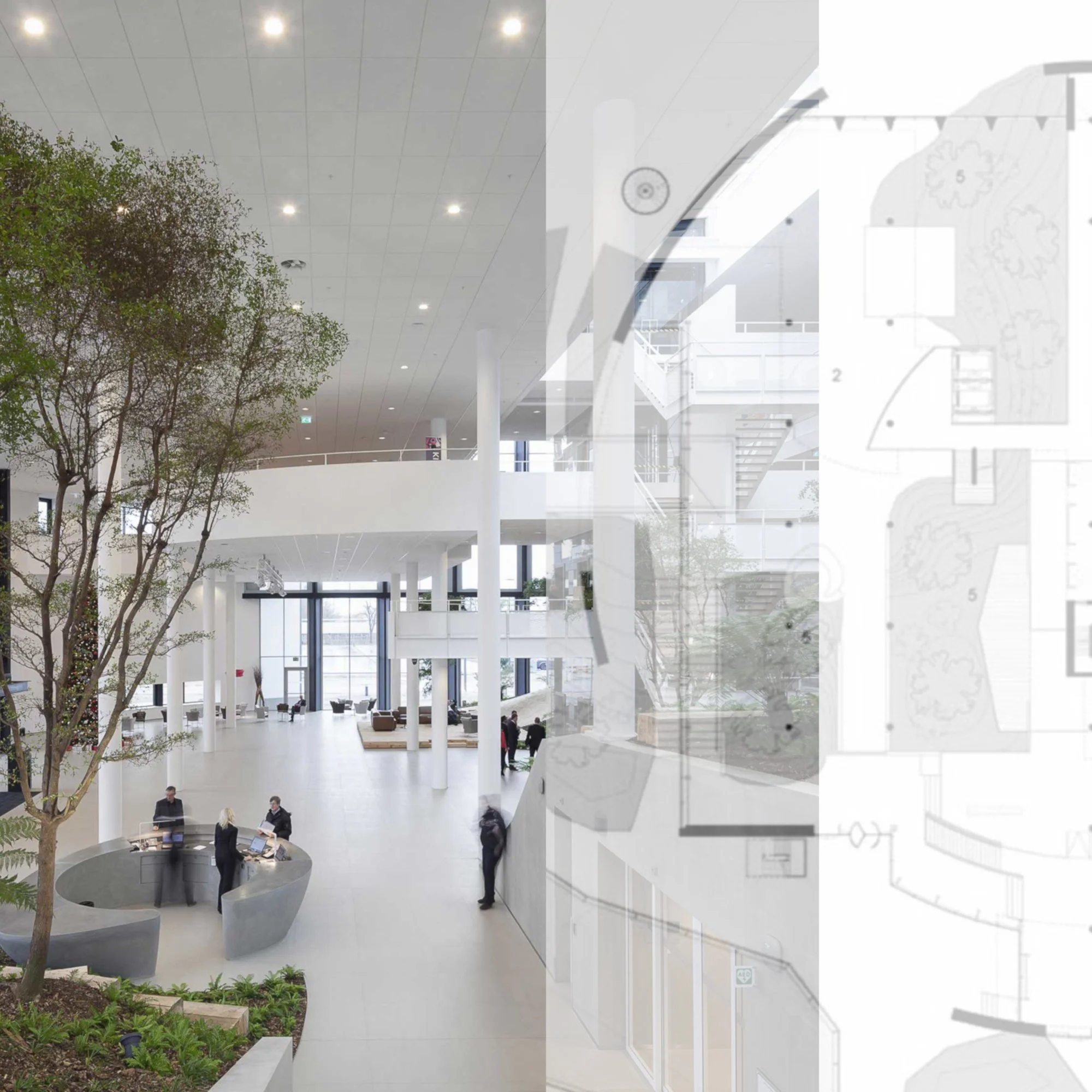 Achmea Campus