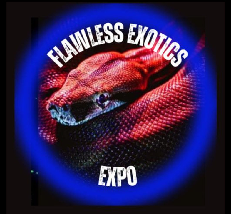 Event Four