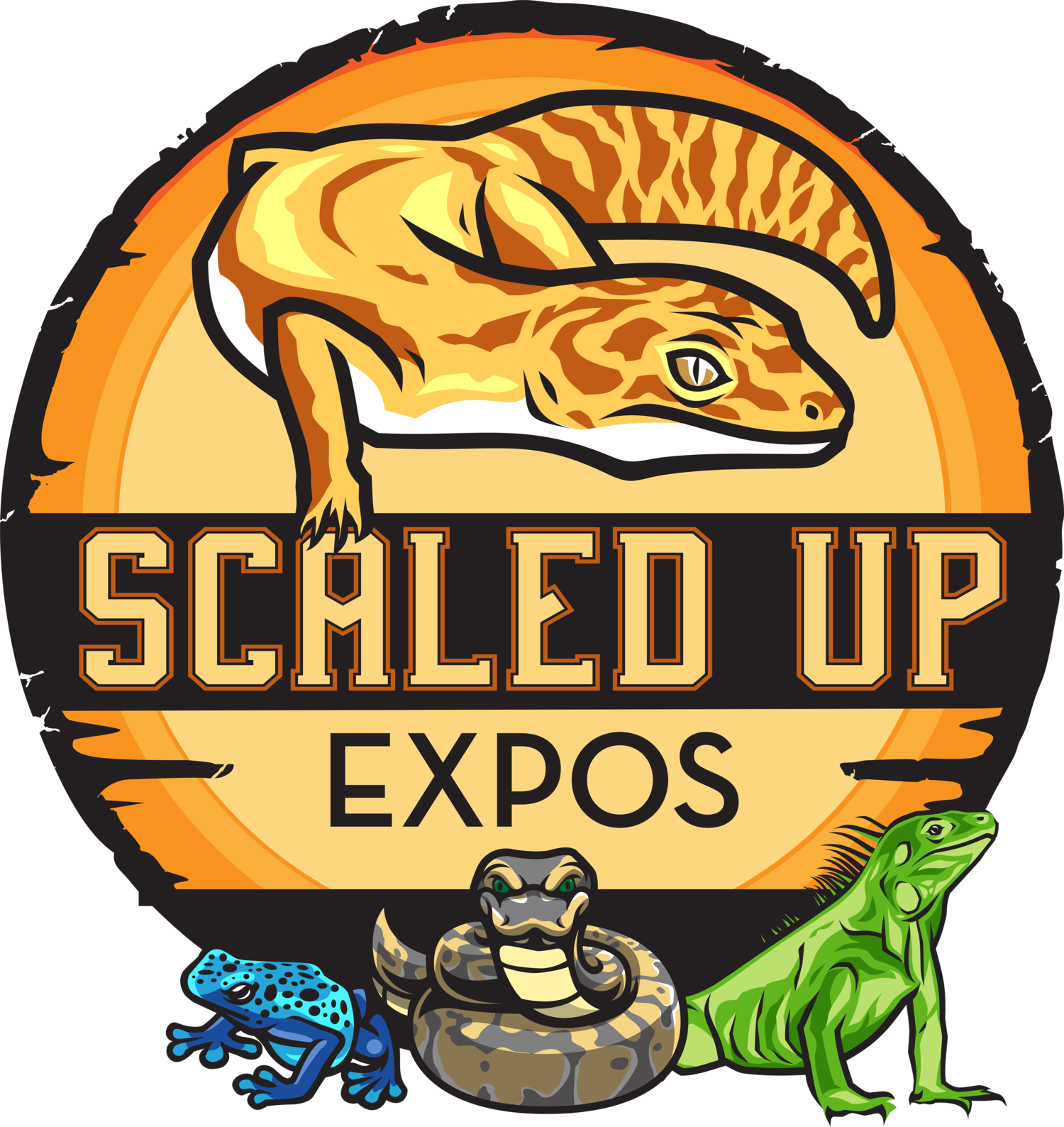 Scaled Up Expo - Madison