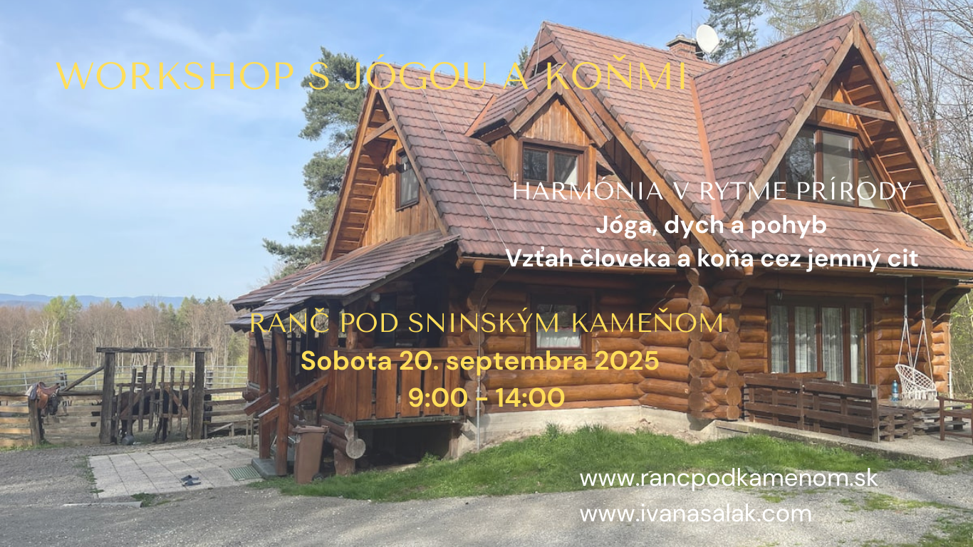 Workshop s jógou a koňmi