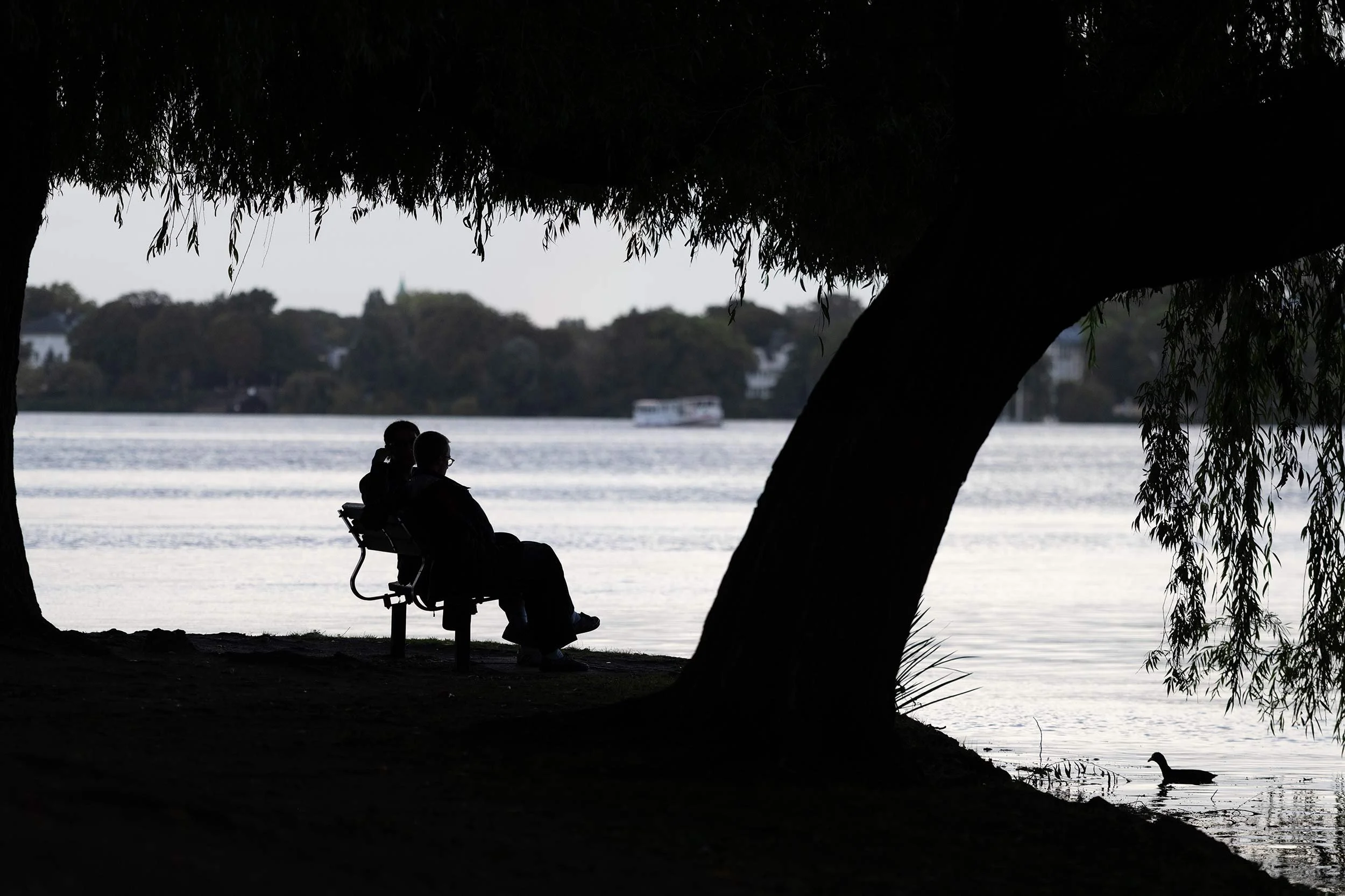 Unter den ausladenden Ästen einer Weide sitzen zwei Menschen im Gegenlicht auf einer Bank am Ufer der Hamburger Alster. Baumstamm, Personen und eine Ente am Wasserrand erscheinen als dunkle Silhouetten vor der hellen Wasserfläche. Die ruhige Szene ge
