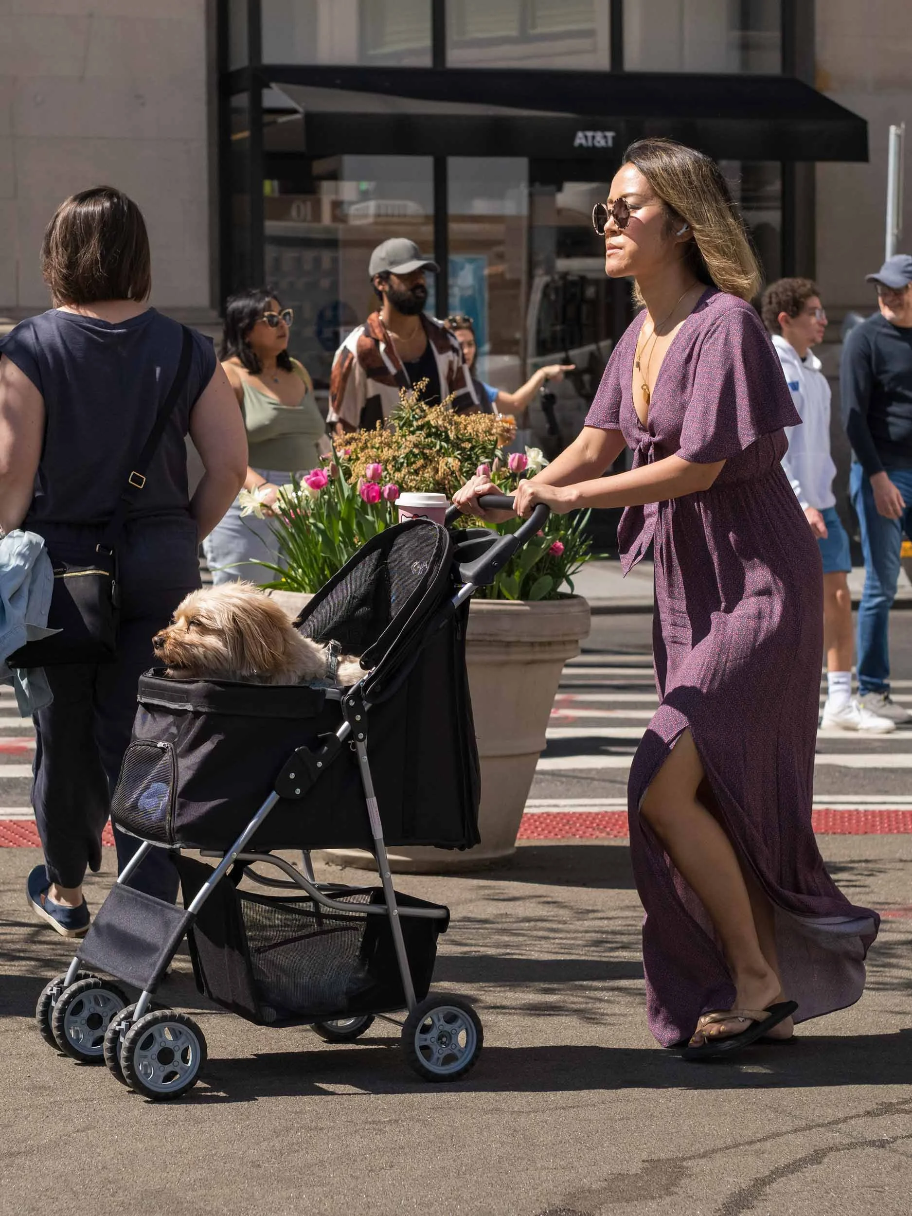 Eine Frau im violetten Kleid schiebt einen kleinen Hund im Kinderwagen durch eine belebte Straße in New York.