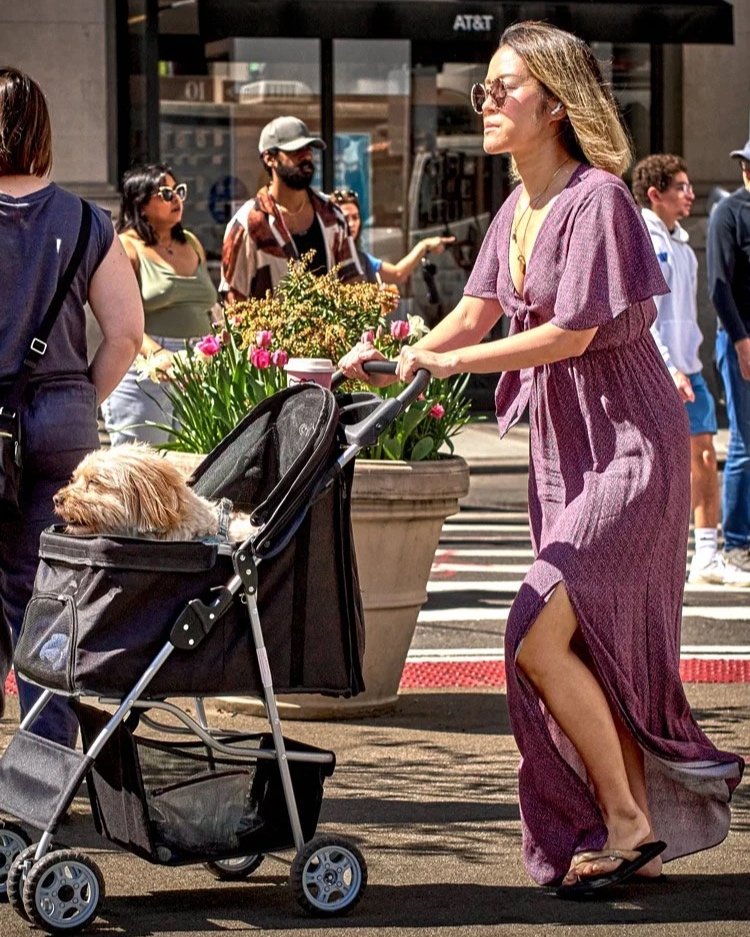 Eine Frau in einem lila Kleid schiebt einen Kinderwagen mit einem Hund durch eine belebte Straße in New York City. Im Hintergrund sind Menschen, Geschäfte und bunte Blumen zu sehen. Die Szene zeigt das lebendige Straßenleben der Stadt.