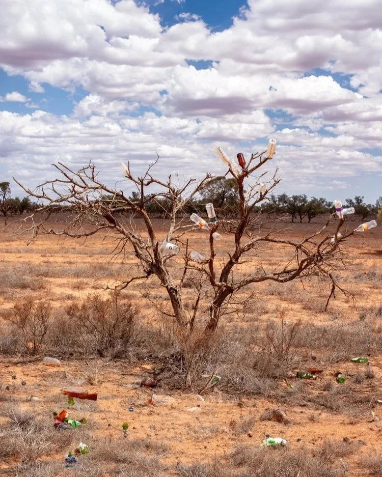 Ein einsamer, kahler Baum erhebt sich in einer weiten, roten Wüstenlandschaft, symbolisiert die Rauheit und Stille des australischen Outbacks. Der blaue Himmel und die trockene Erde stehen in starkem Kontrast zueinander, während die Leere der Umgebun