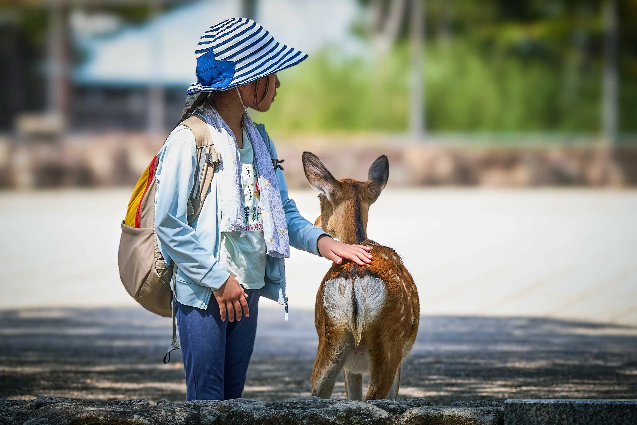 Mädchen mit Sonnenhut streichelt ein Reh auf Miyajima in Japan.
