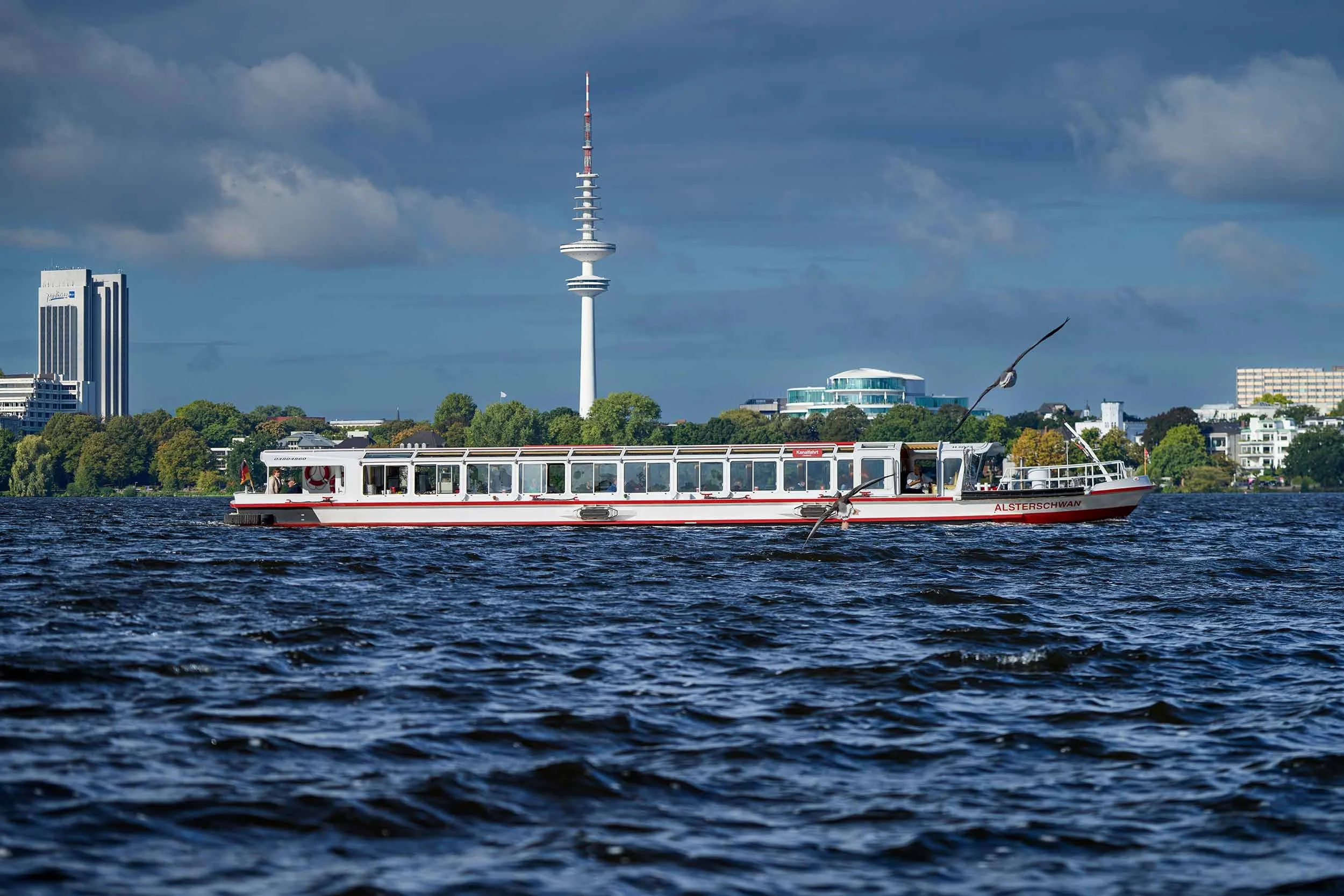 Das weiß-rote Alsterschiff Alsterschwan fährt über die bewegte Wasserfläche der Hamburger Außenalster. Hinter dem Schiff erhebt sich der Heinrich-Hertz-Turm über der grünen Stadtsilhouette, während ein Vogel knapp über dem Wasser fliegt. Fotografie a