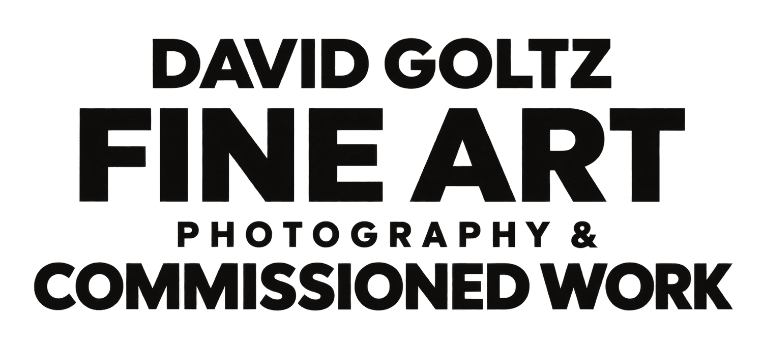 David Goltz
