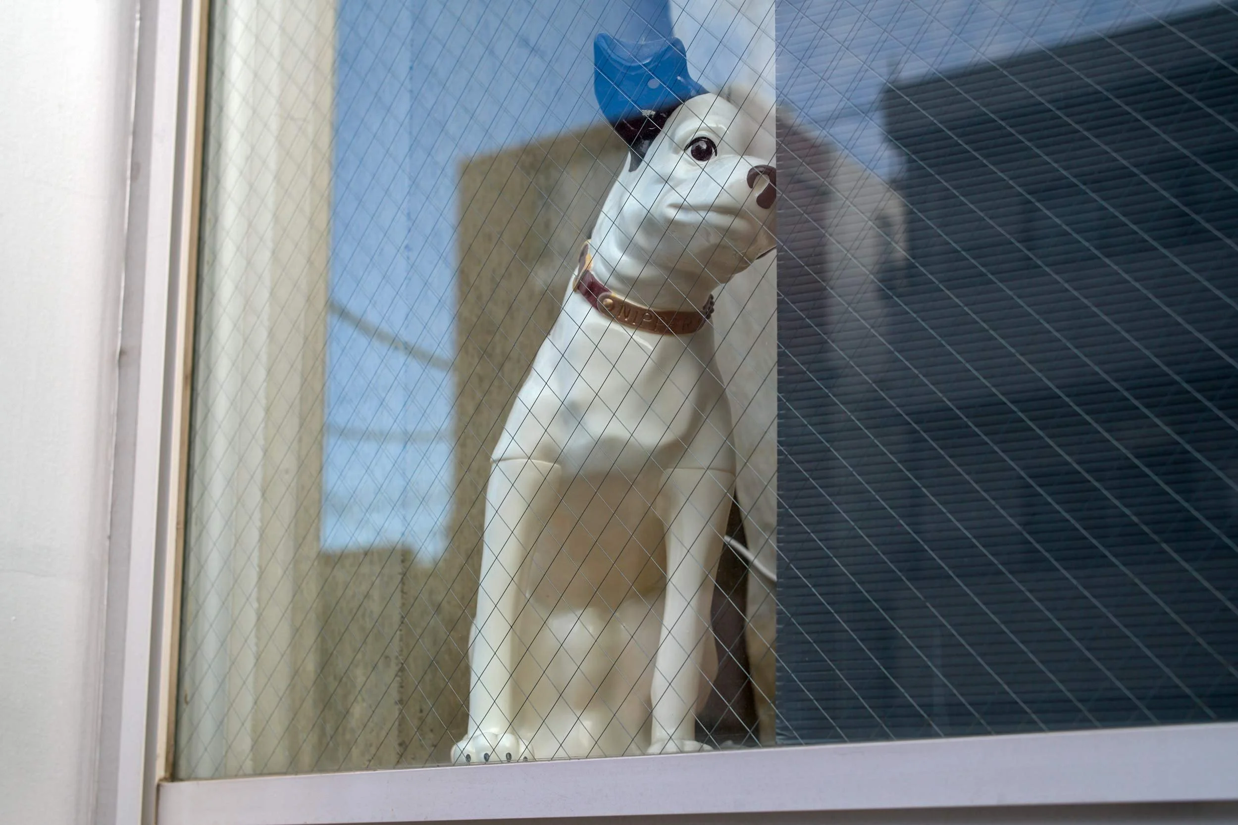Shiba-Inu-Hundefigur steht hinter einem Fenster mit Drahtglas. Tokio