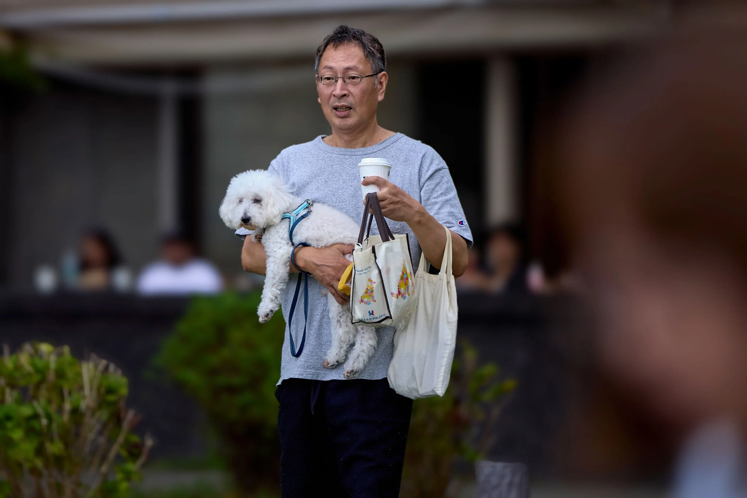 Mann hält einen kleinen weißen Hund und trägt Einkaufstaschen am Ashi-See bei Hakone, Japan.