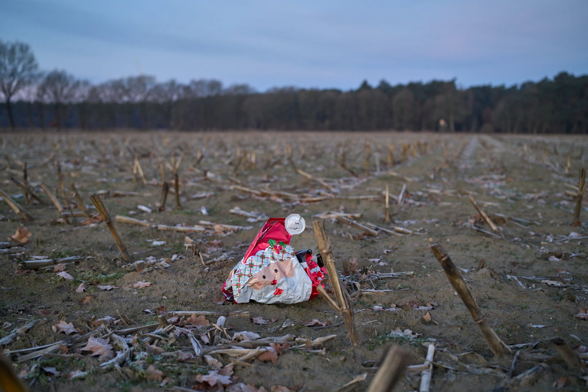 Zurückgelassene dekorative Figur auf einem abgeernteten Feld vor einer Baumlinie.
