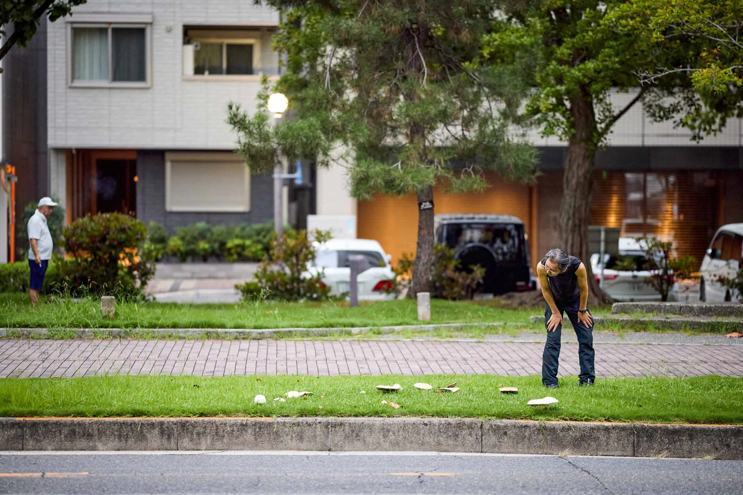 Ein Mann beugt sich auf einem Grünstreifen in Hiroshima über mehrere Pilze auf dem Boden.