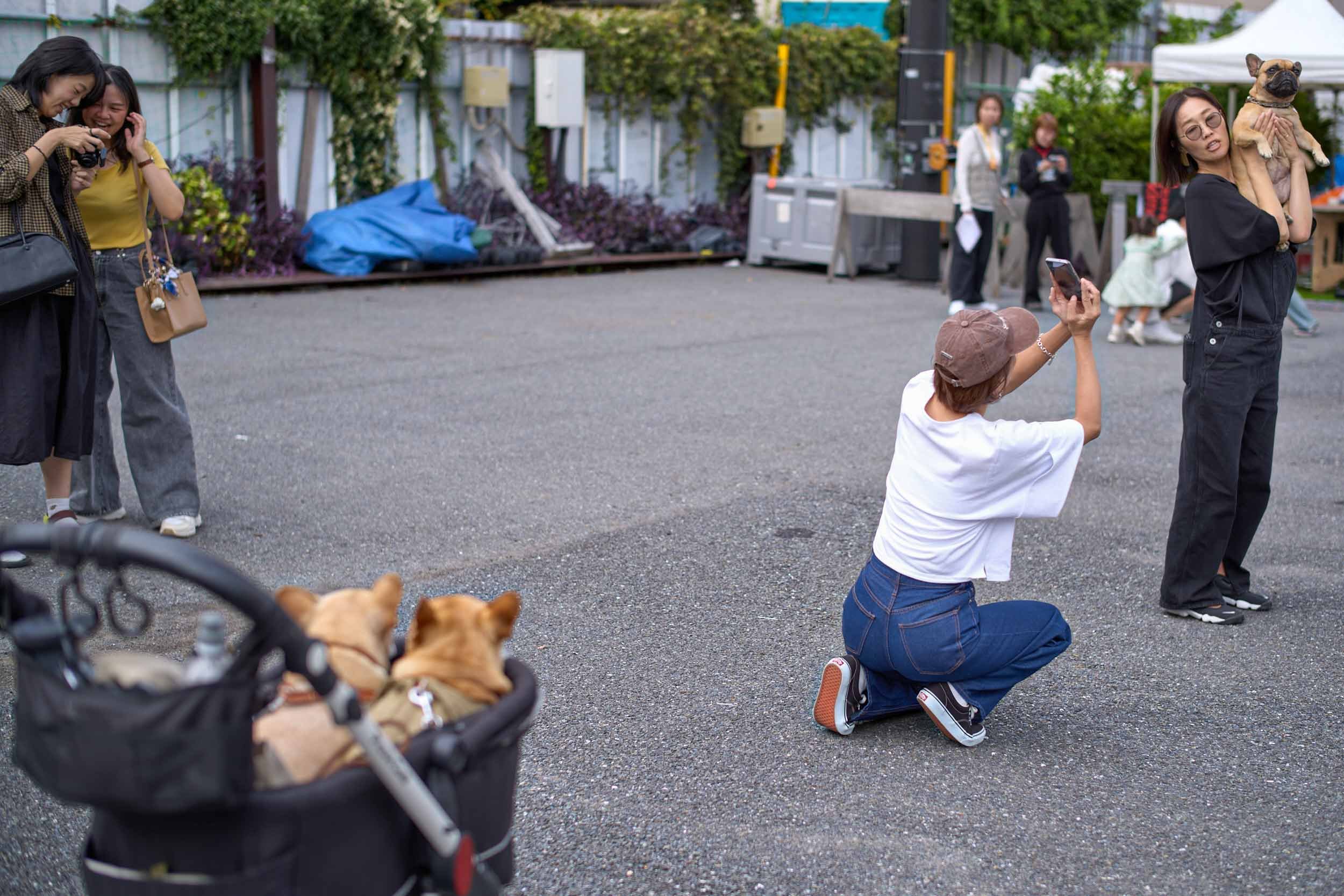 Mehrere Personen fotografieren einen Hund im öffentlichen Raum, weitere Hunde sitzen in einem Kinderwagen im Vordergrund.