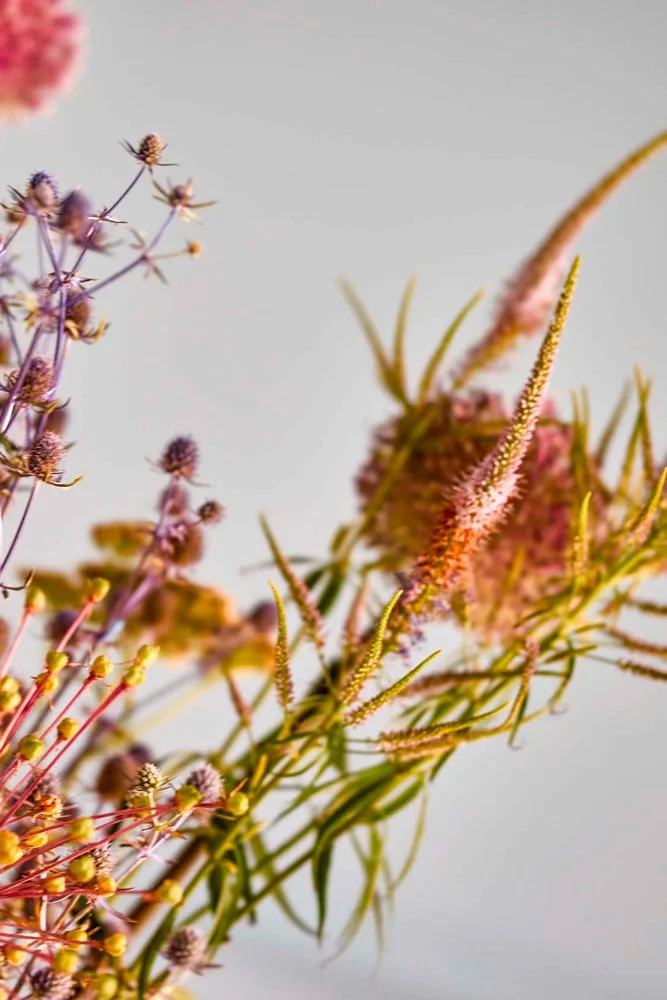 Nahaufnahme eines Arrangements aus verschiedenen Wildblumen und Gräsern mit violetten und rosafarbenen Blüten vor hellem Hintergrund.