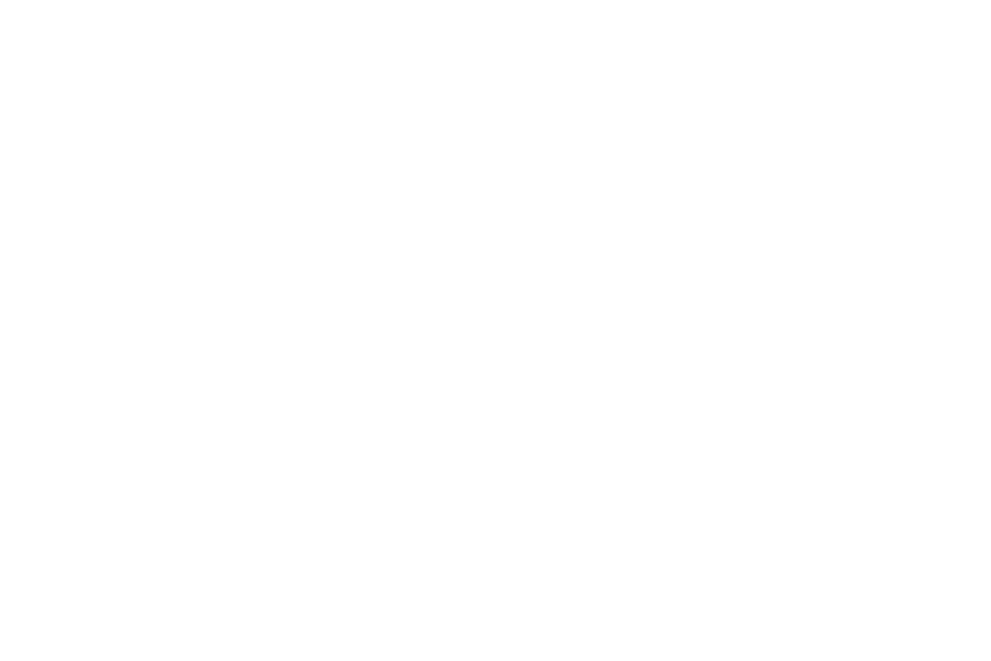 hotel_lanig-3x2.png