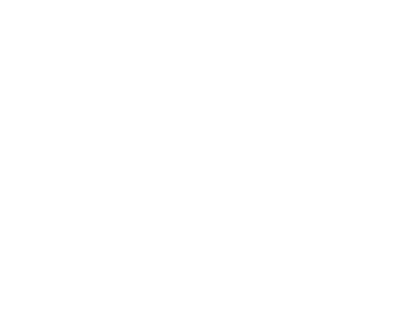 Anchor PT and Performance