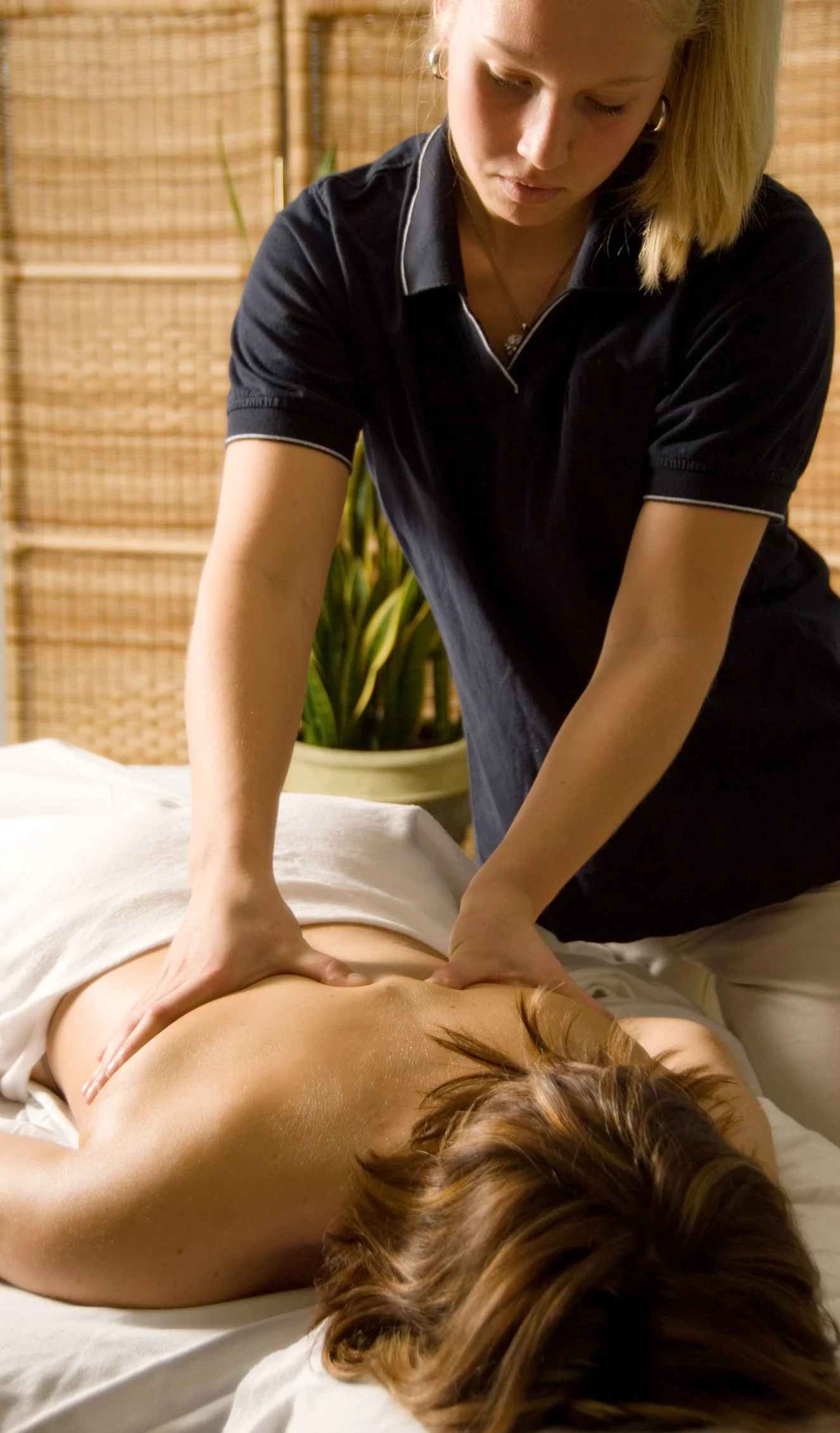 Reiki for Licensed Massage Therapists: Elevate Your Healing Practice & Earn Required CEs
