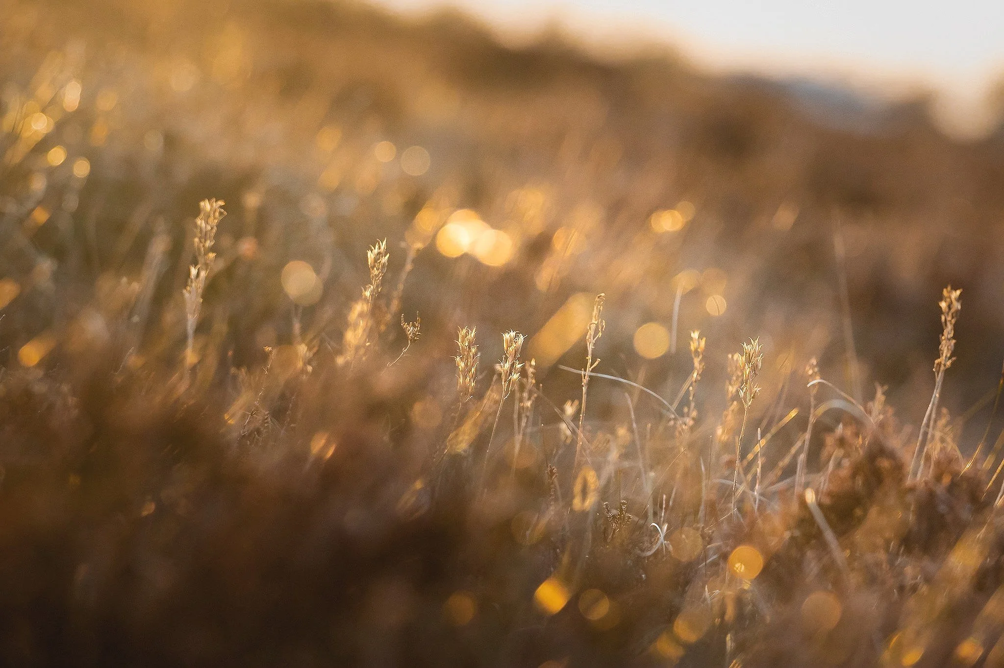 Connecting with Landscape