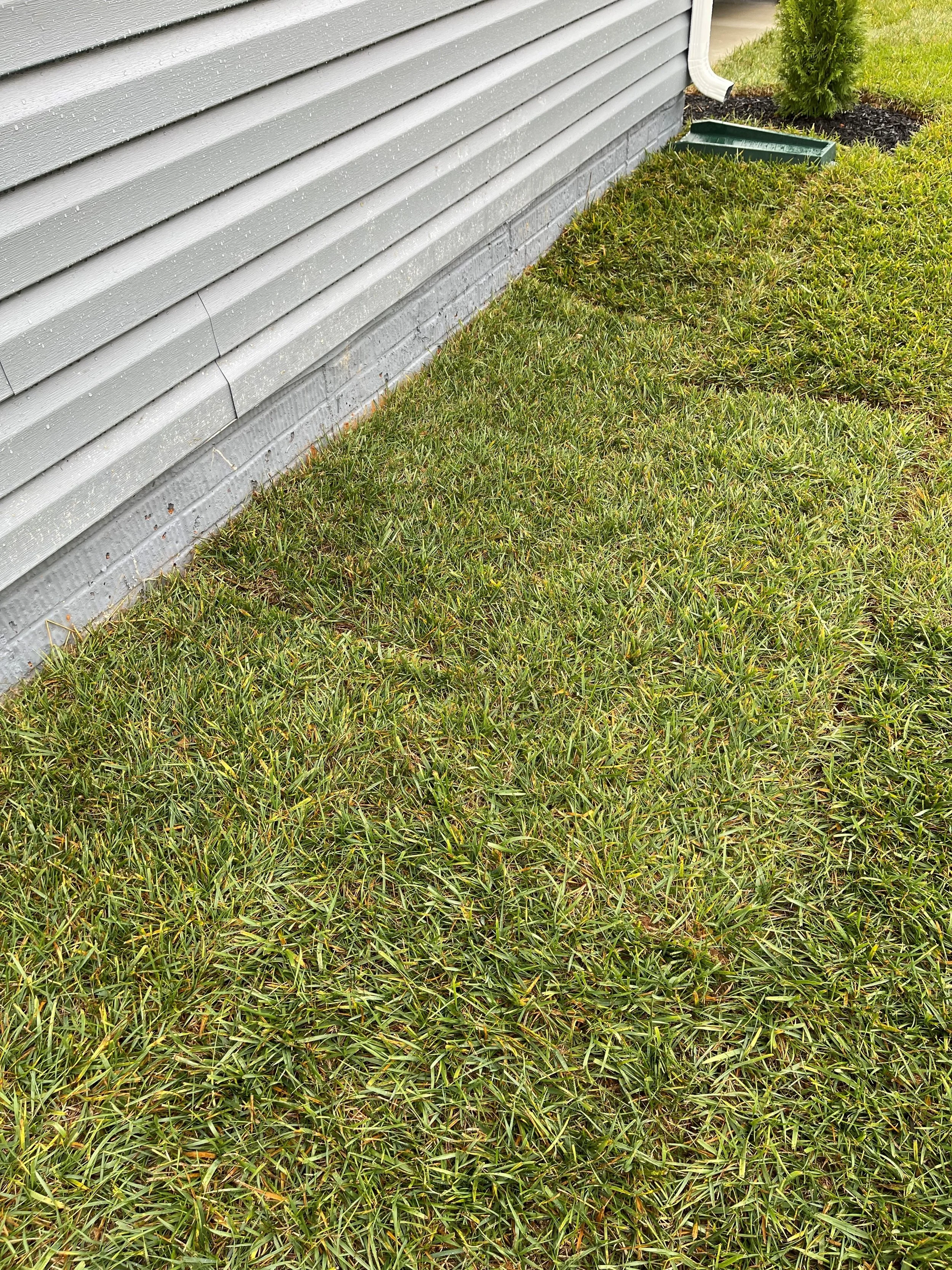 Sinkhole #3 on front left of home; harder to view from picture alone but grade of land has sunk in and sod is separating in a few areas.