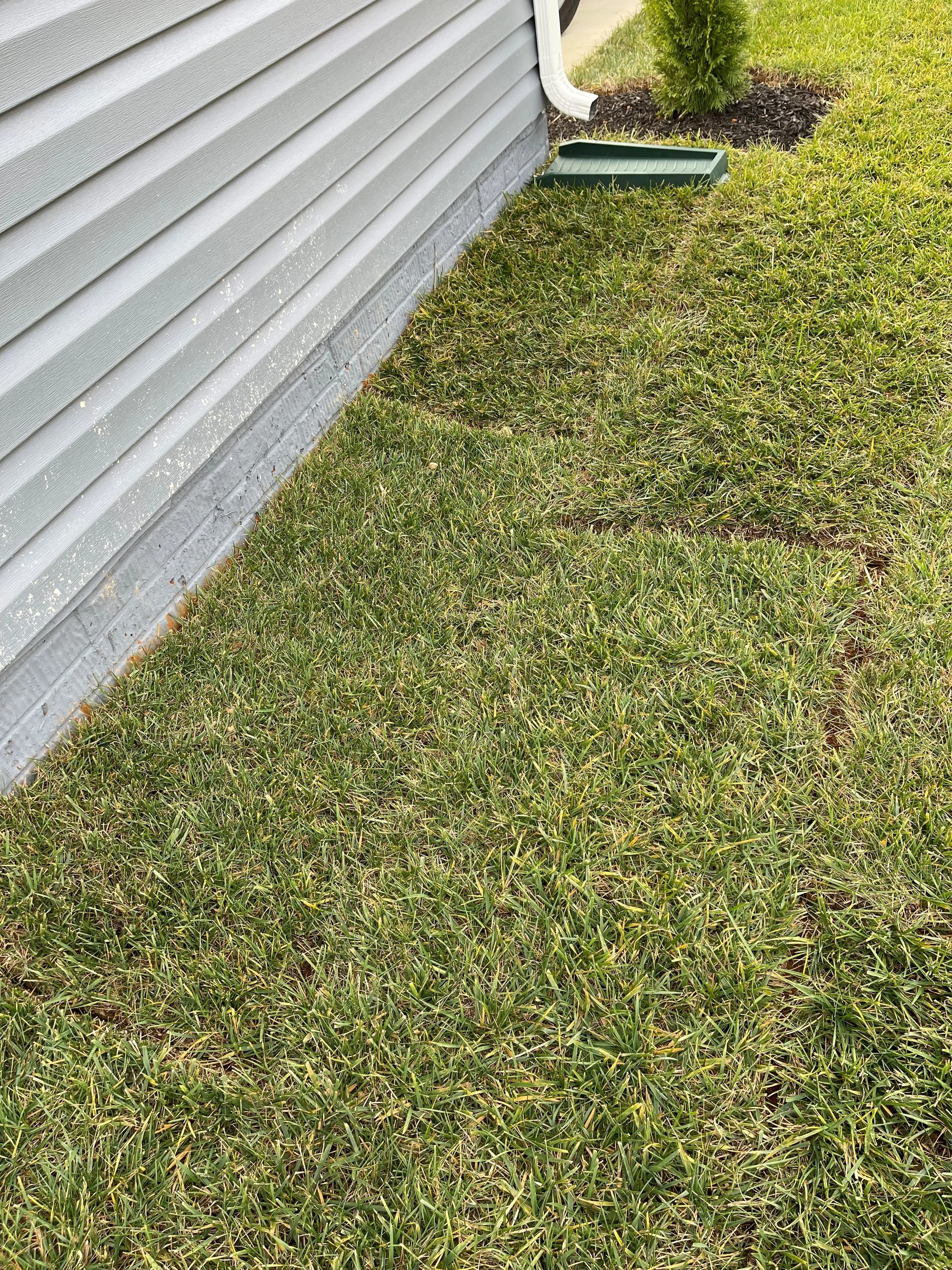 Front left-side of home, land is starting to dip and hole is extending further outward from home, pulling sod.  Land feels remarkably "soft" about 2 feet from home, as though there is more room to go.