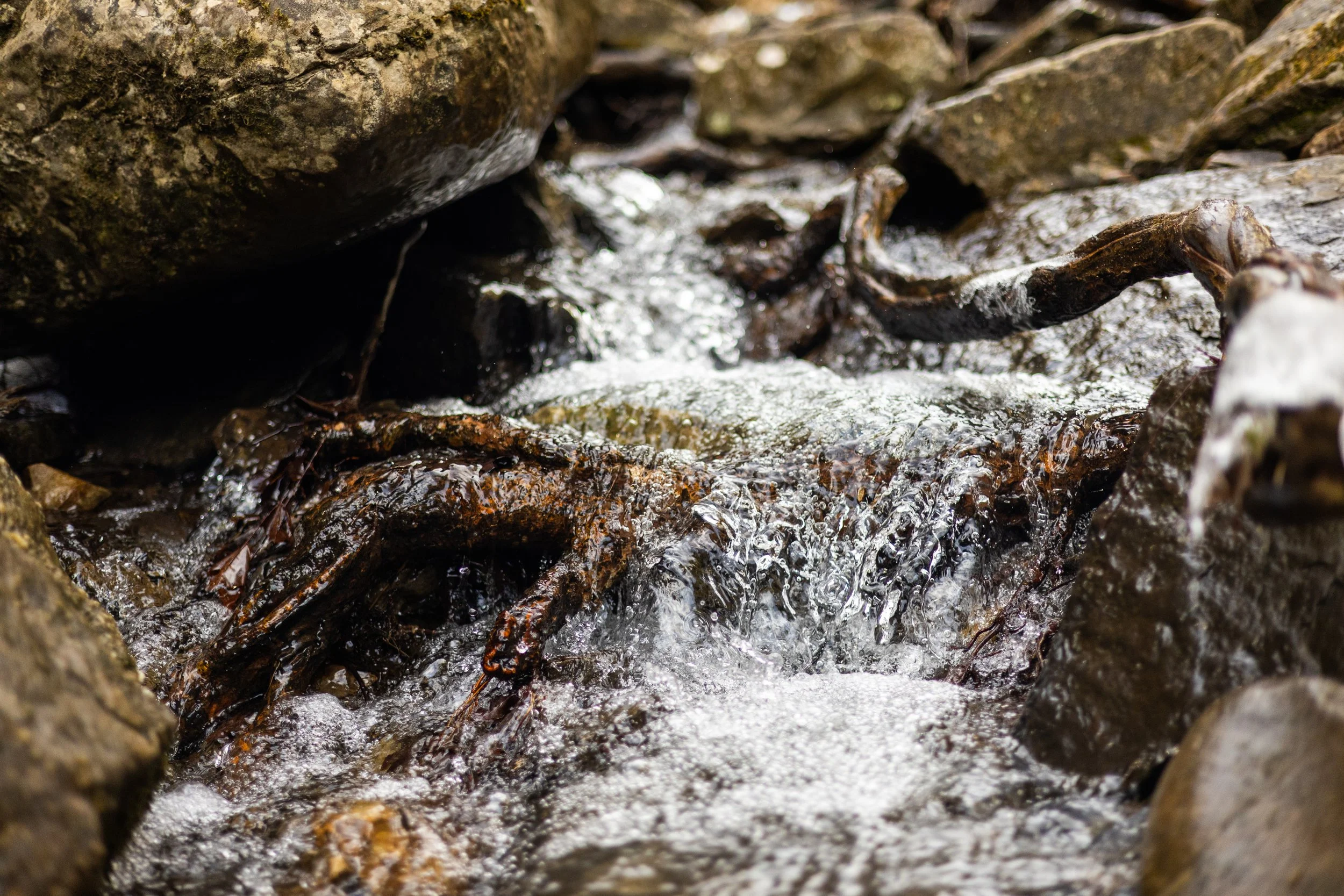River_Greeter Falls-2.jpg