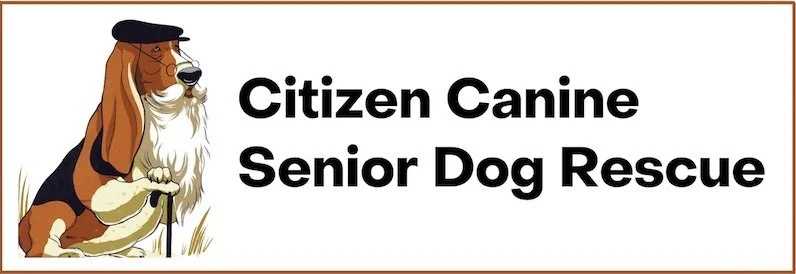 January 2026 Member Spotlight