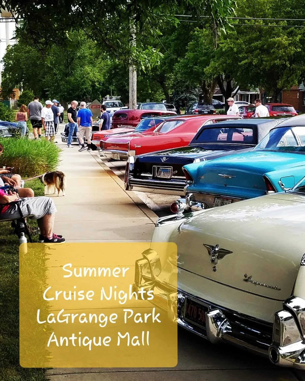 Vintage Car Show