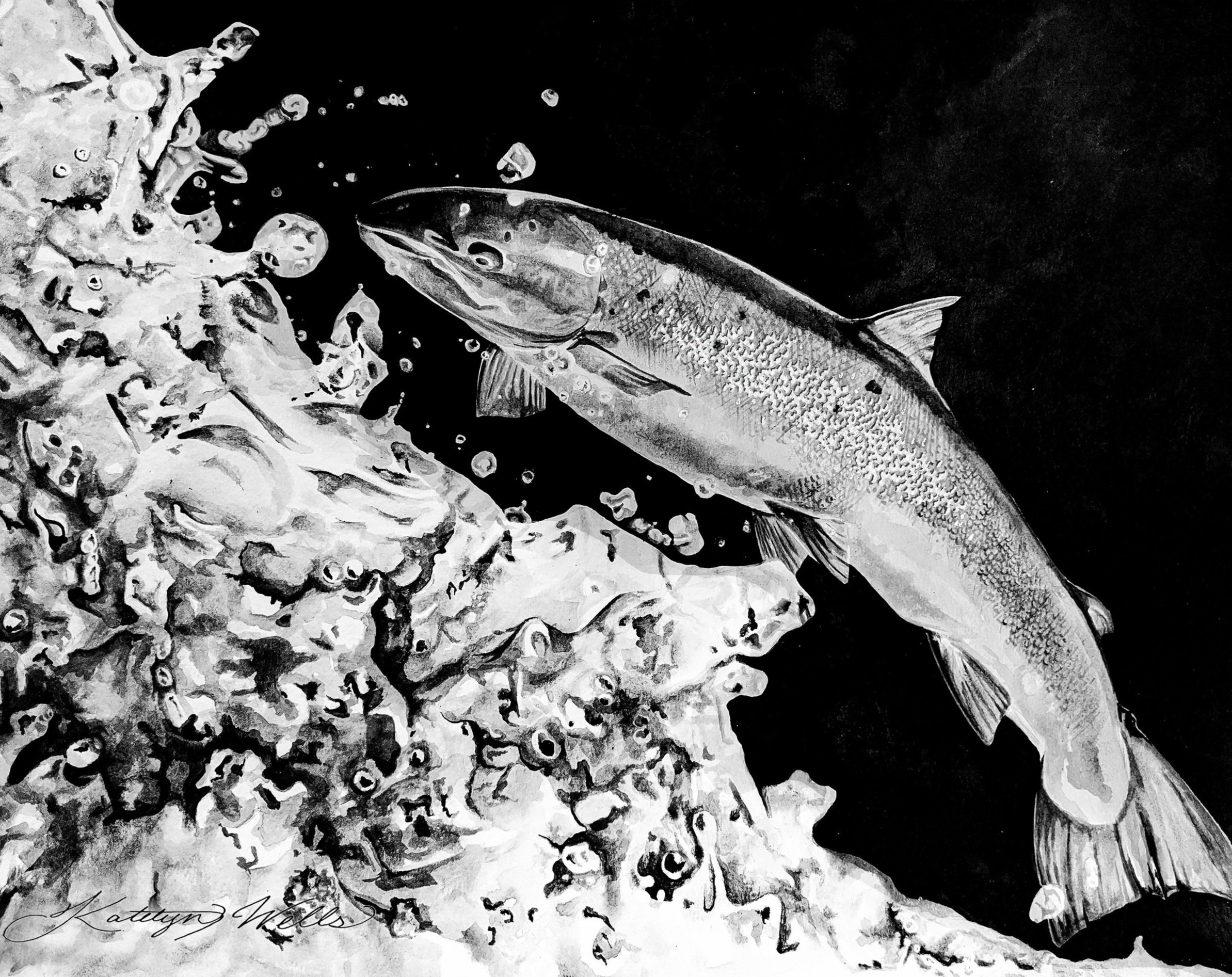 1_salmon_large_.jpg