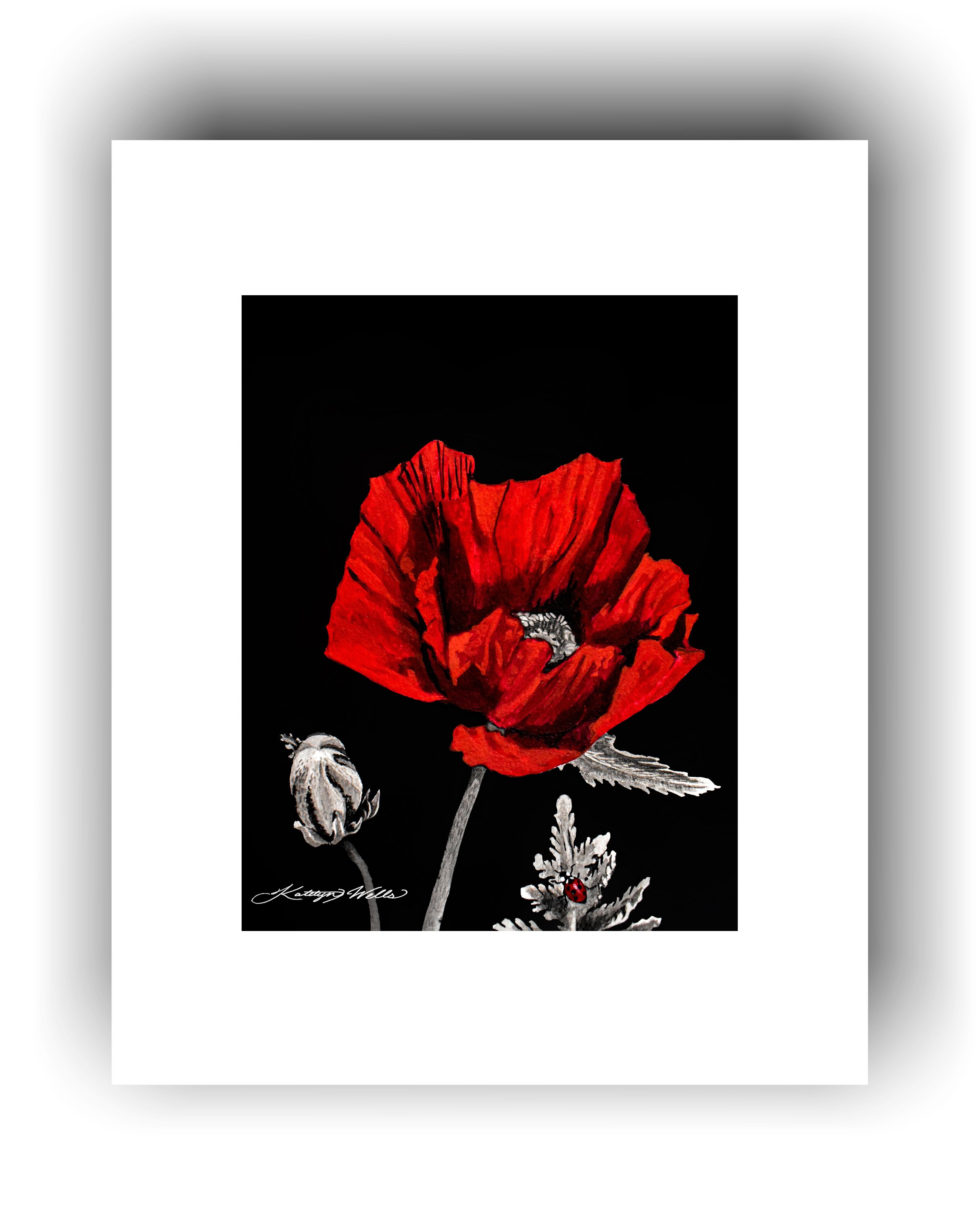 poppy_mat_white.jpg