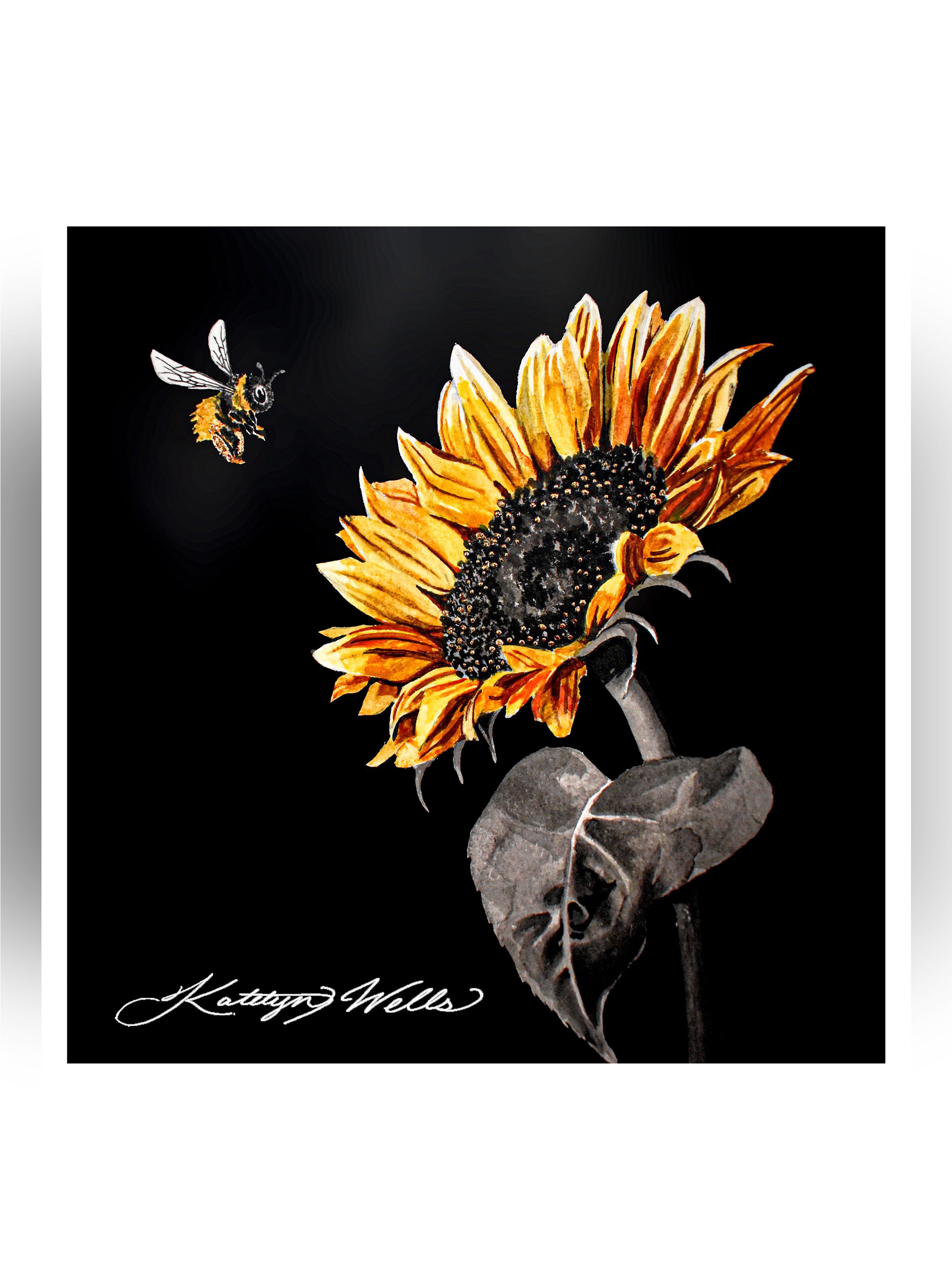 sunflower_cover.jpg