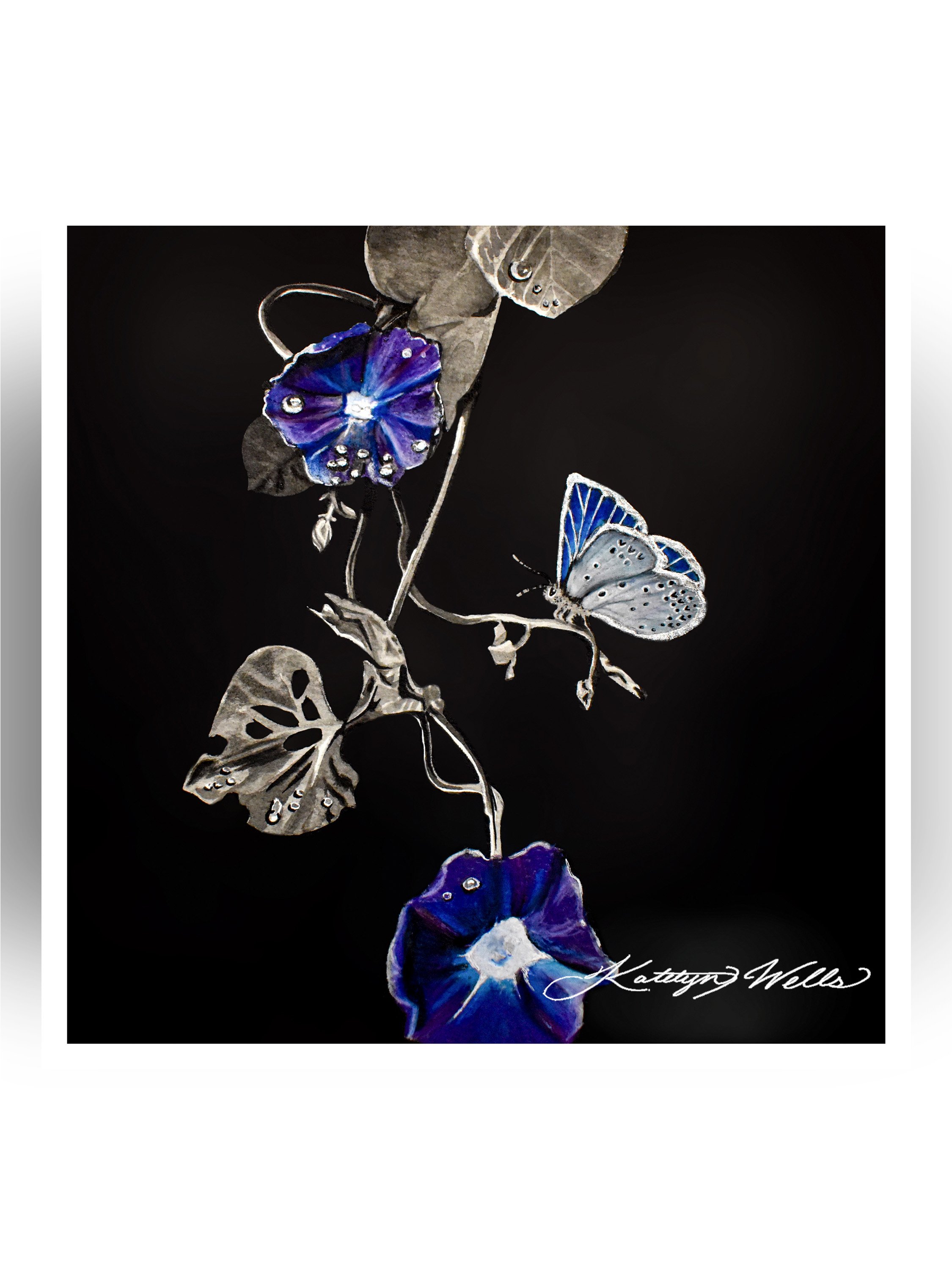 morningglory_cover.jpg