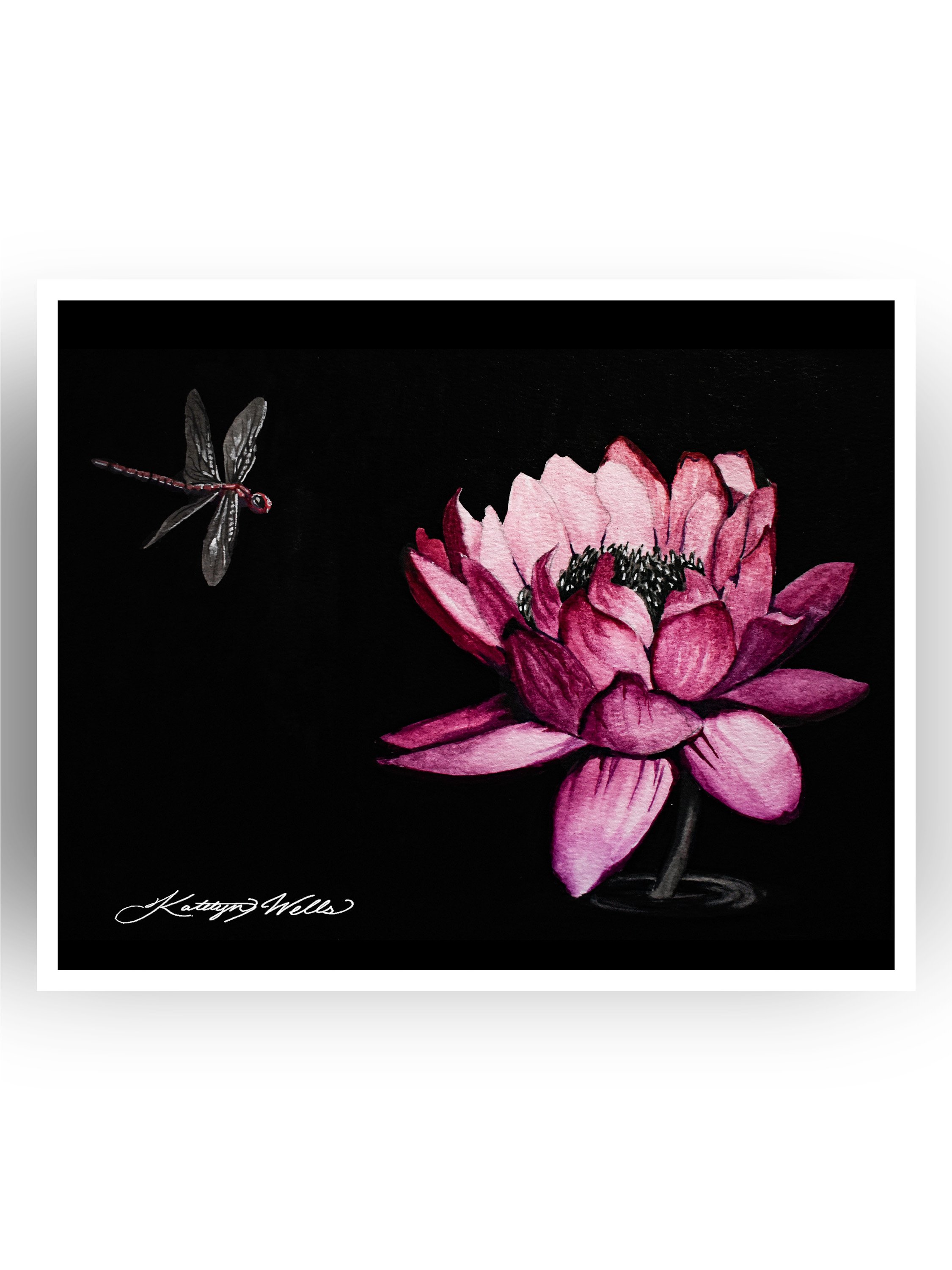 lily_cover.jpg