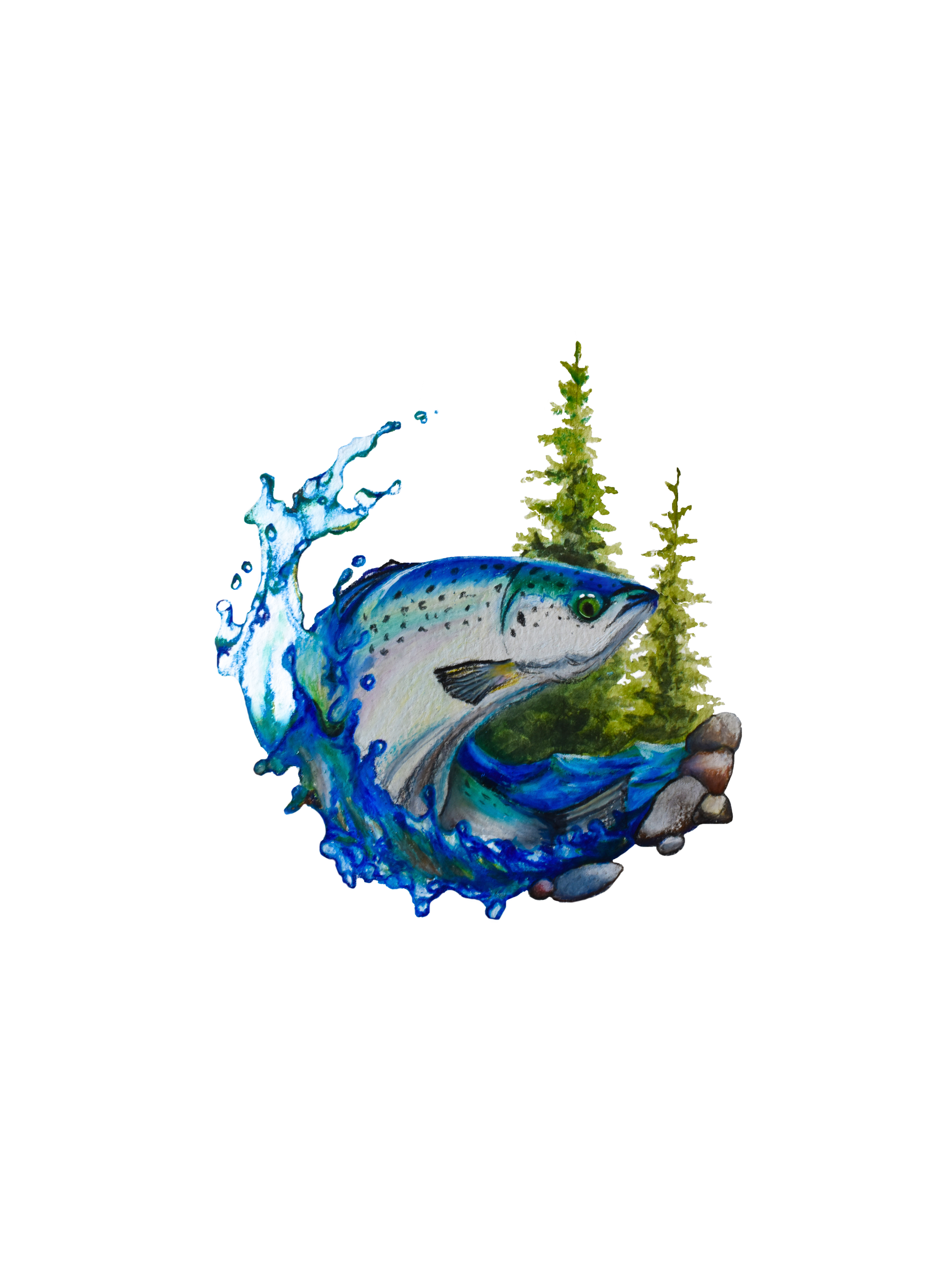 fish_0.2.png
