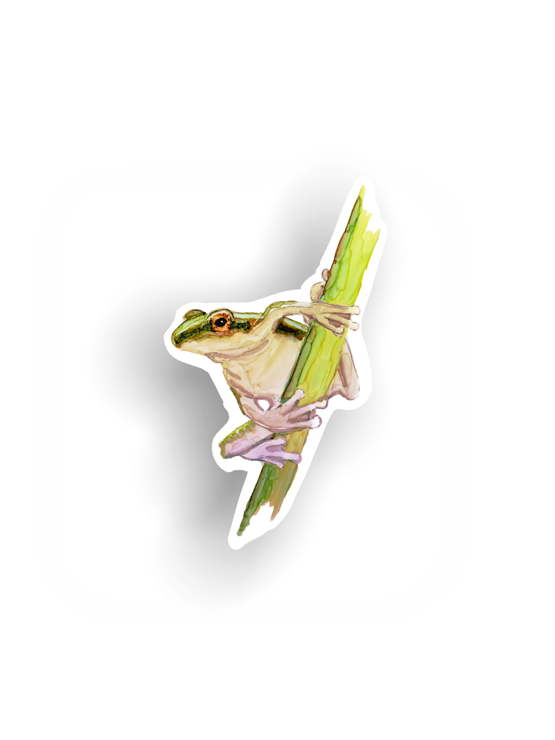 Pacific Tree Frog Vinyl Sticker