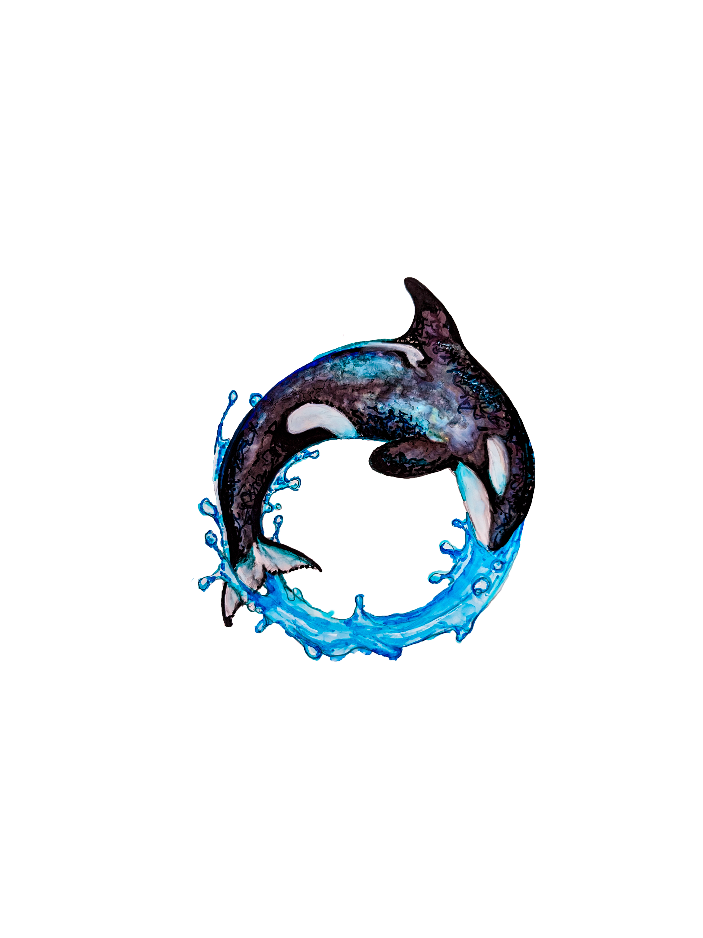 orca_.png