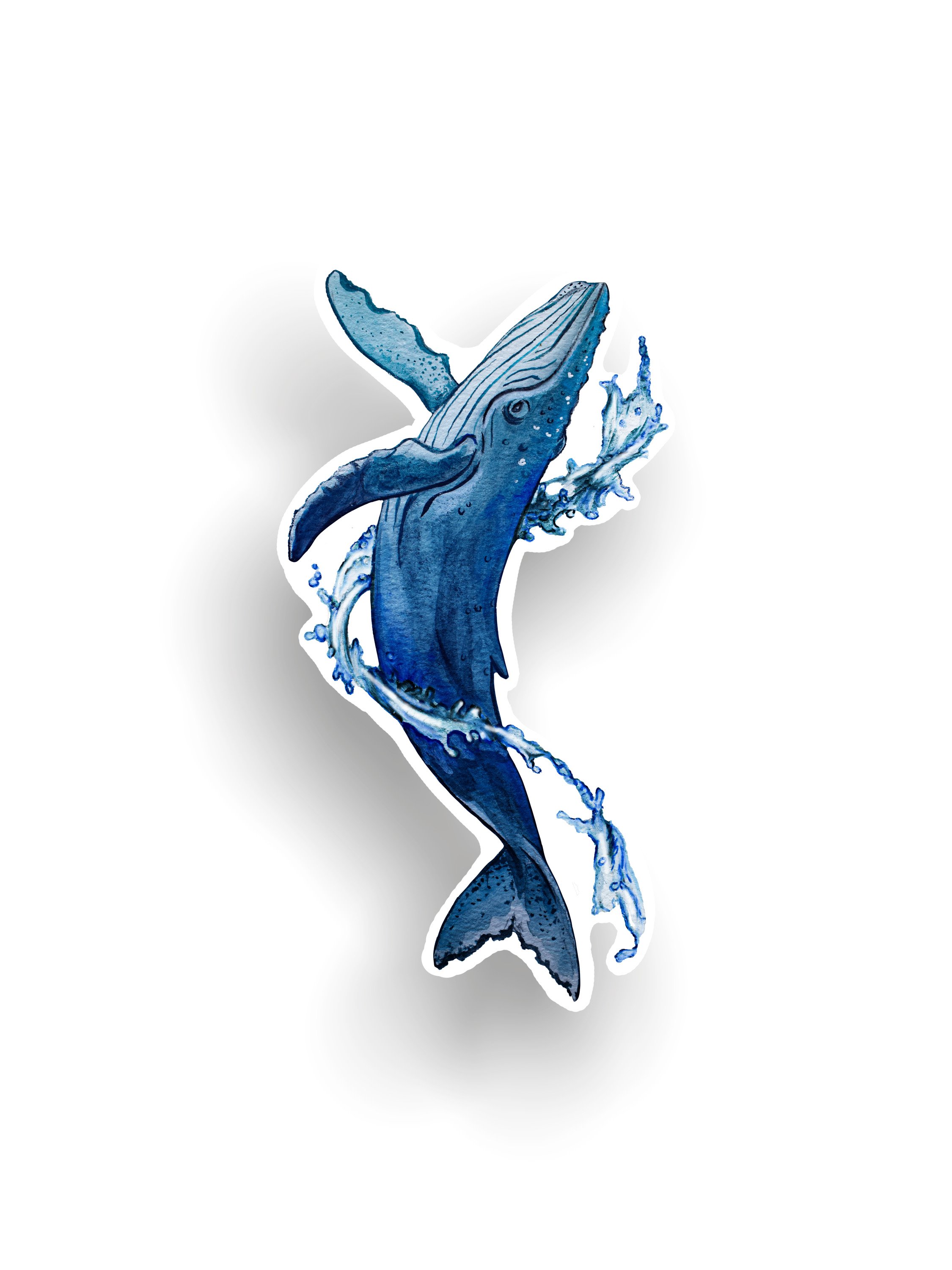 Humpback Whale Vinyl Sticker