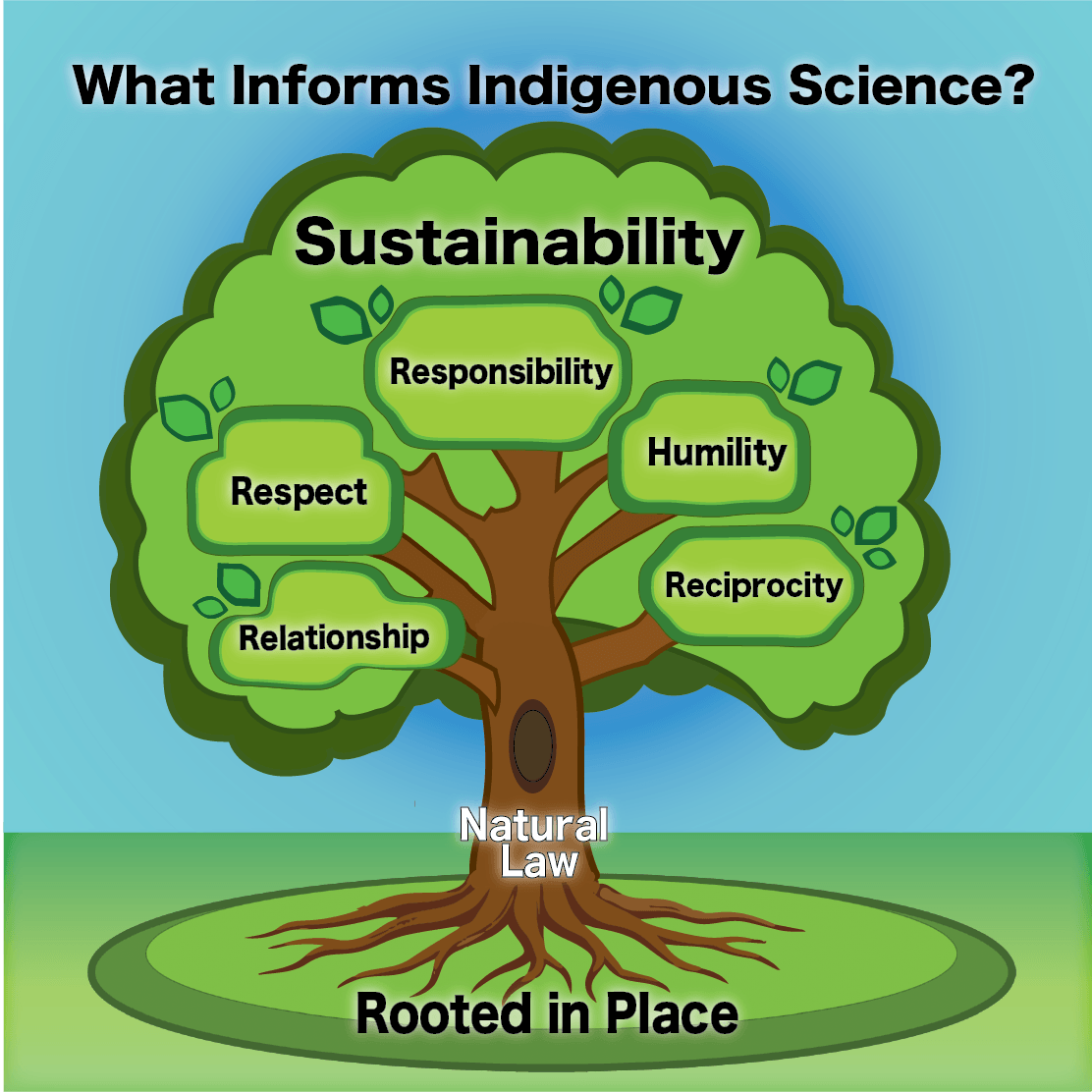      What is Indigenous Science?