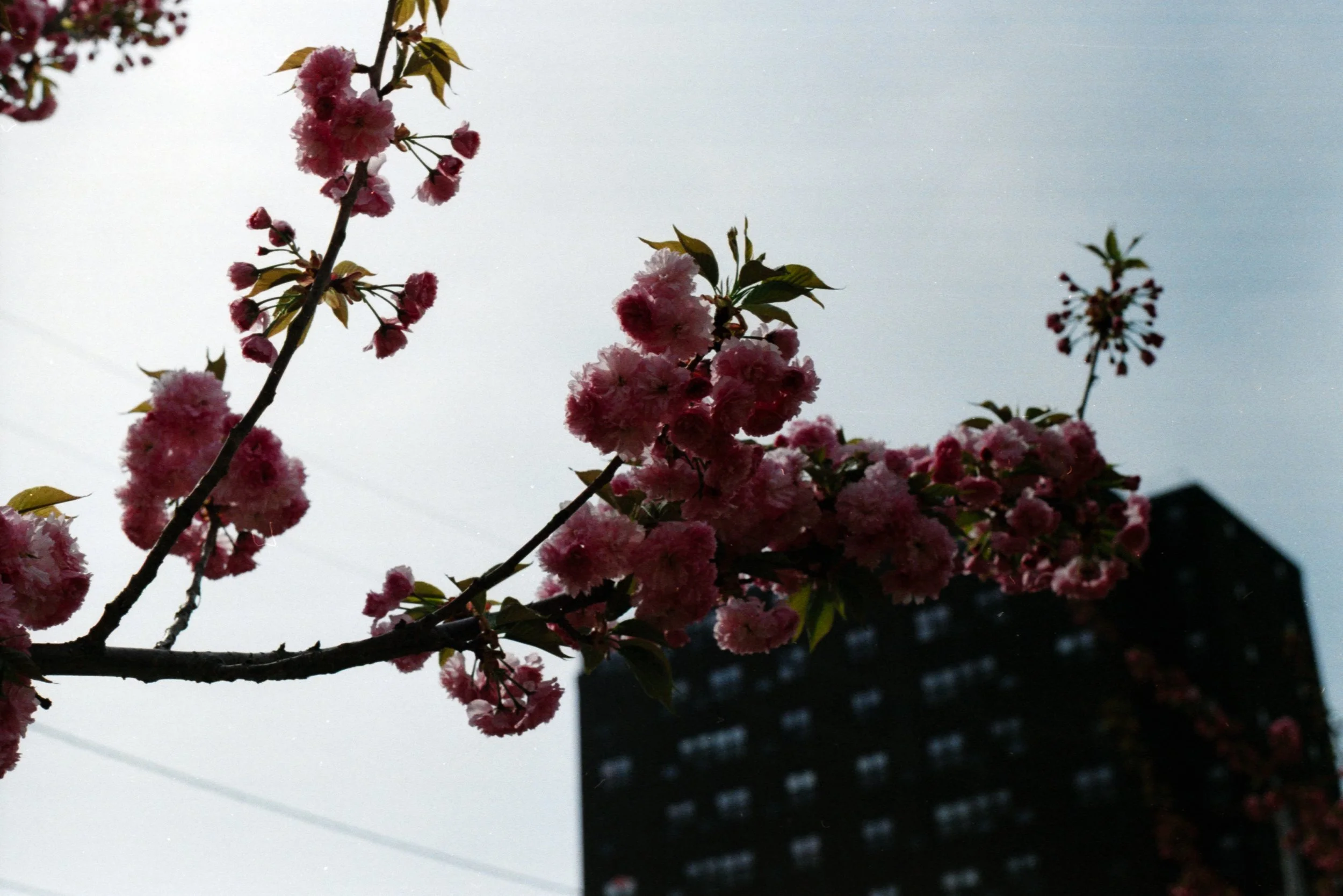Untitled (2)-2.jpg