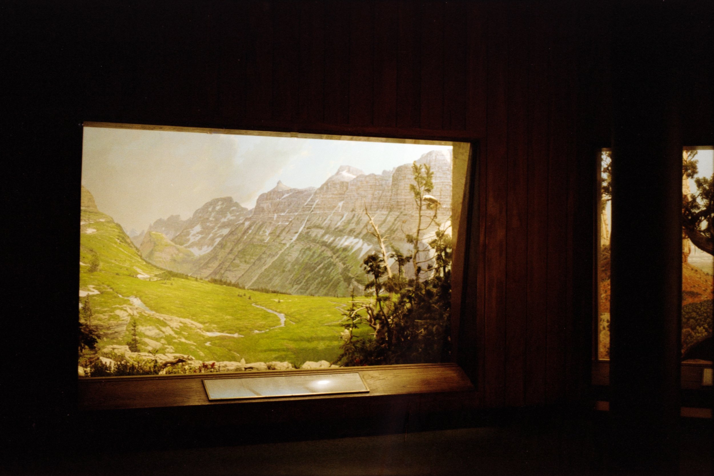 Untitled (6)-8.jpg