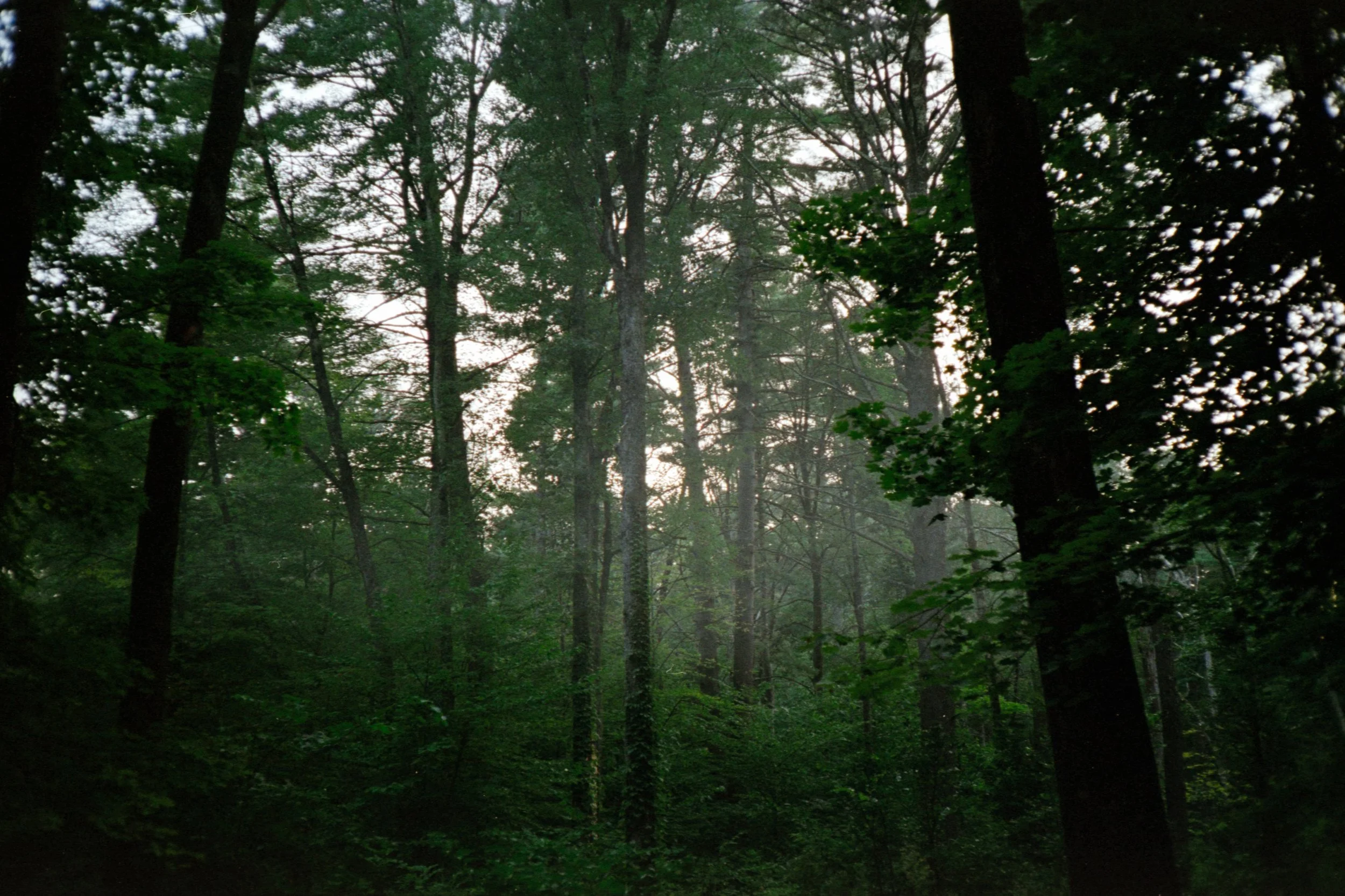 Untitled (3) ((2).jpg