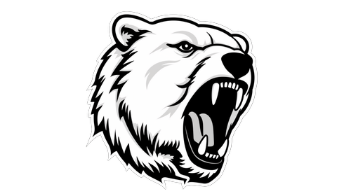 Bern Fit roaring bear logo