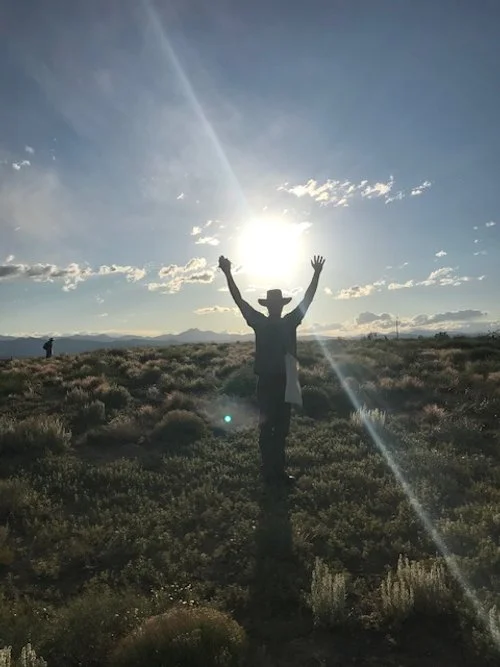 healing connection sunshine gestalt nature