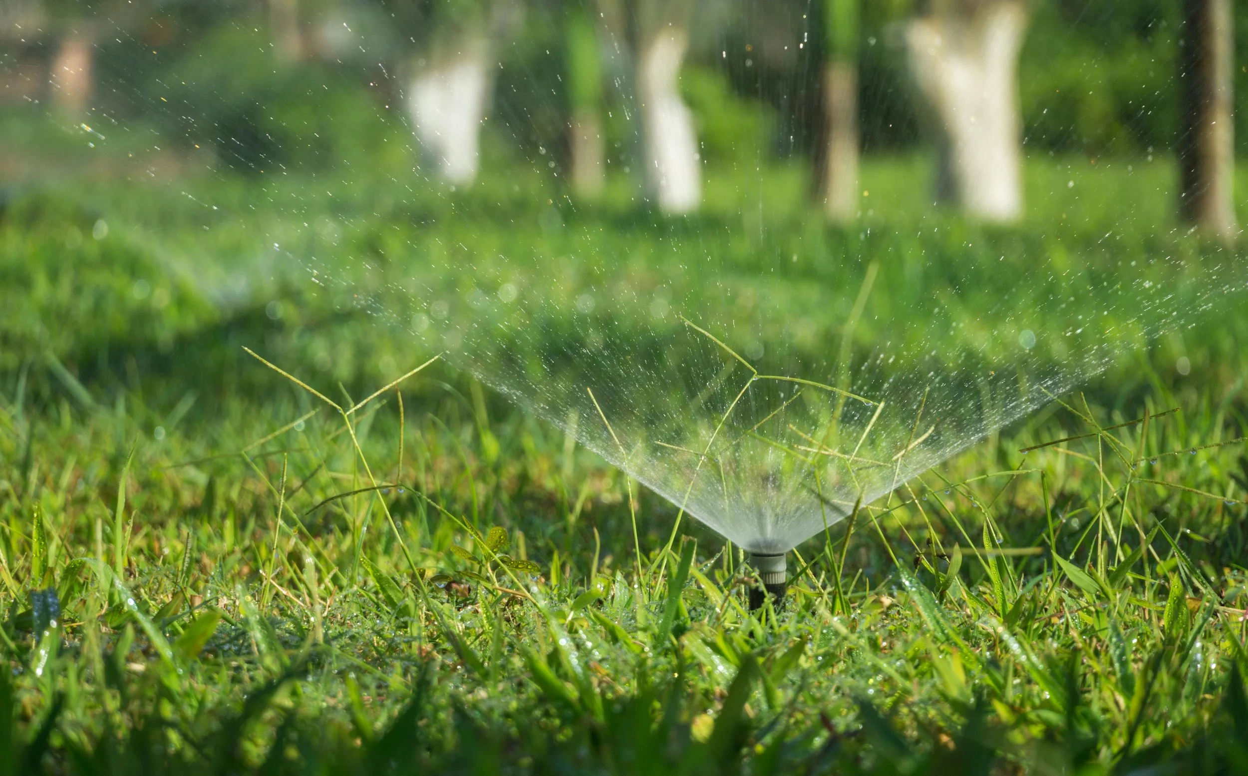Springtime Property Maintenance Checklist