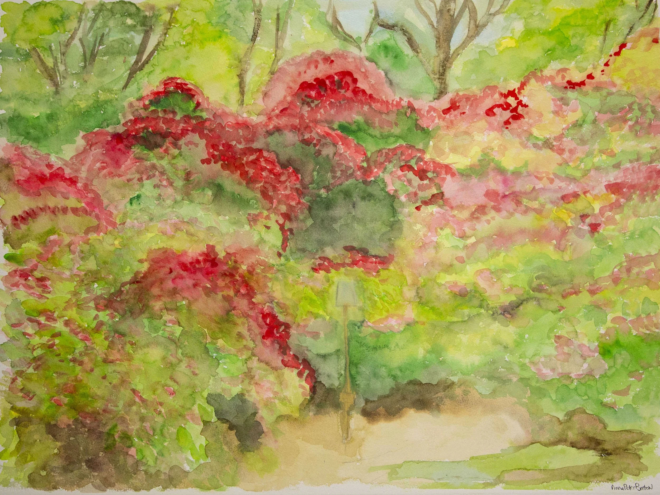 Anna Peter Breton, Red Trees, 2022, Aquarelle sur papier, 56,5 x 76,5 cm.jpg