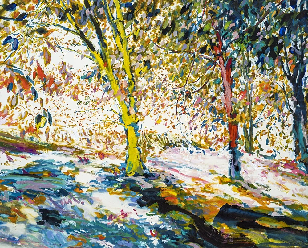 Vidovina 6, huile sur toile, 200x250cm, 2022.jpg