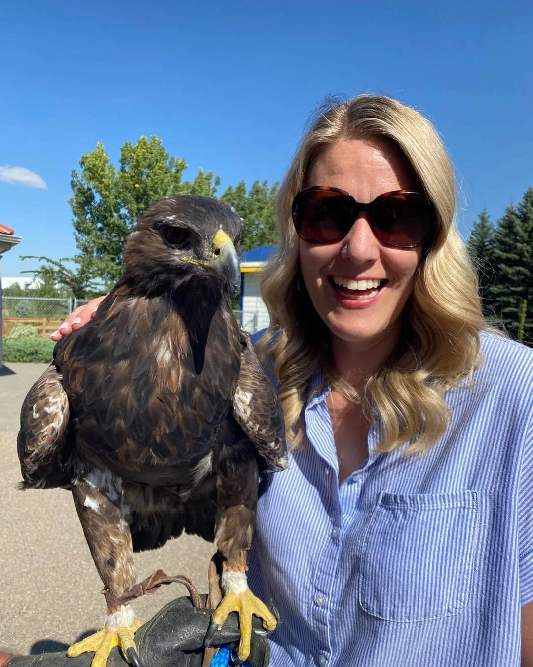 From humble beginnings in a backyard to a 212-acre operation, the Alberta Birds of Prey Centre is an inspiring example of grassroots conservation evolving into a world-class wildlife sanctuary. 🦅

It was great to visit with my team today!