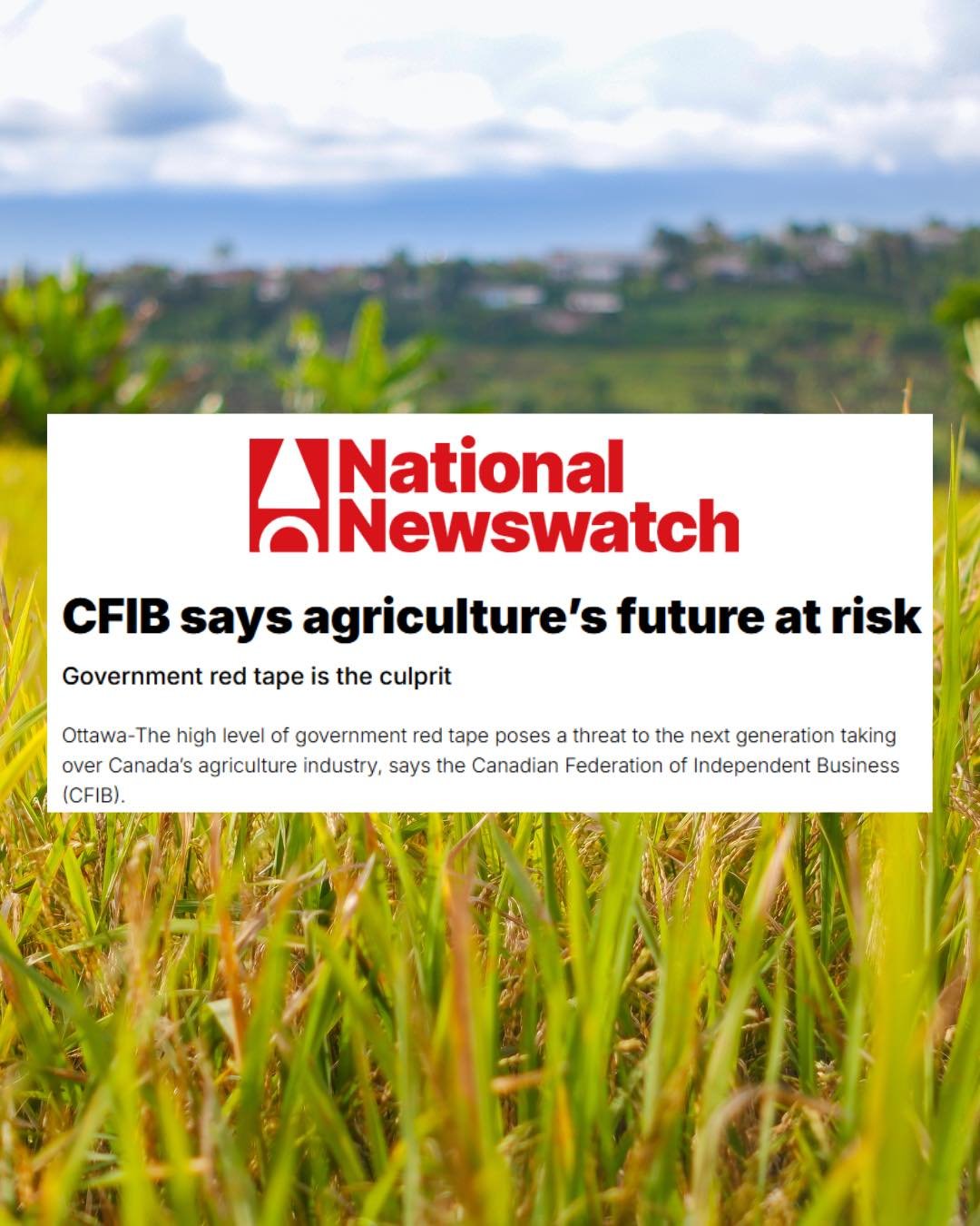 Liberal red tape is choking Canada&rsquo;s agri-food sector.

Farmers are telling the next generation not to take over, not because they don&rsquo;t love the land and have a passion for farming, but because Ottawa has made it impossible to succeed.

