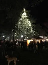 Los Gatos Tree Lighting